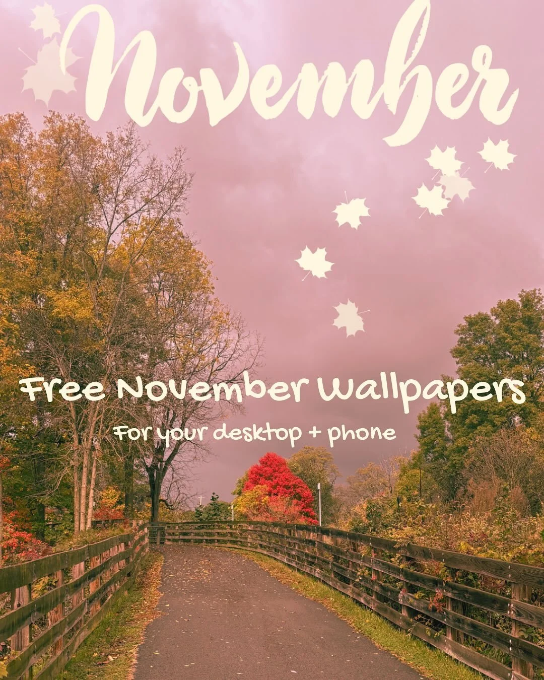 November has arrived softly &mdash; with misty mornings, golden paths, and a thousand little reasons to give thanks. 🍂

@chancecreekmercantile aka Chuck snapped this photo last fall on our daily Rails-to-Trails walk, where everything glows in Novemb