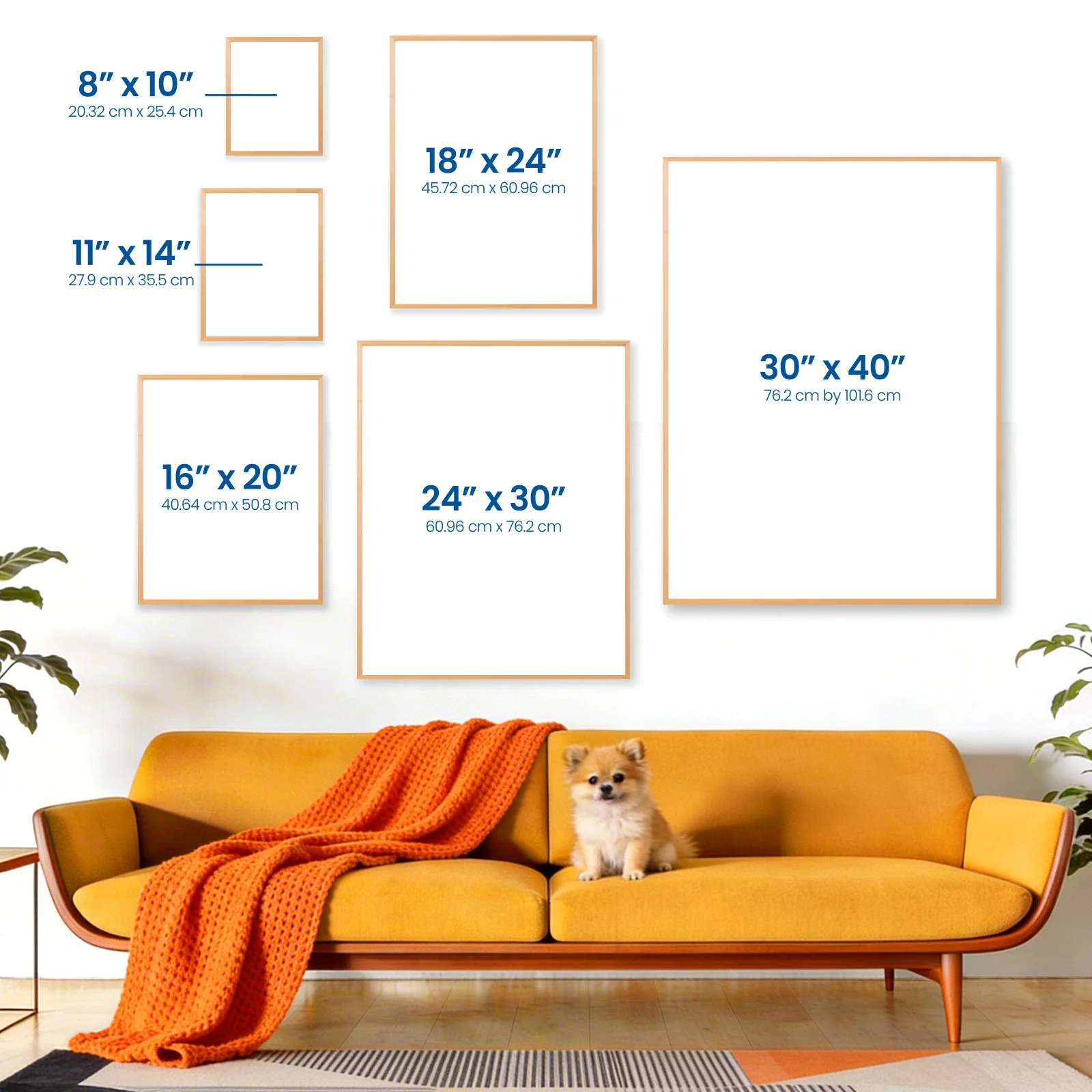 LBS_Frame Sizes_Rect.jpg (Copy) (Copy) (Copy)