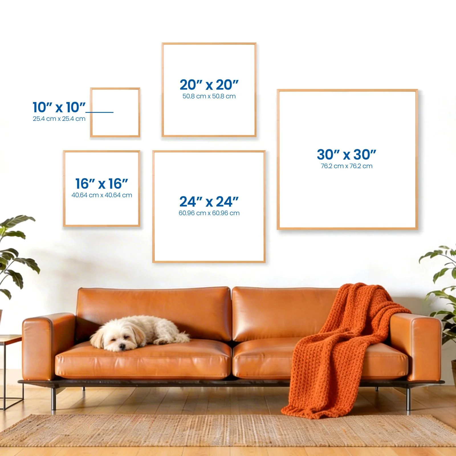 LBS_Frame-Sizes_Sq.jpg (Copy)