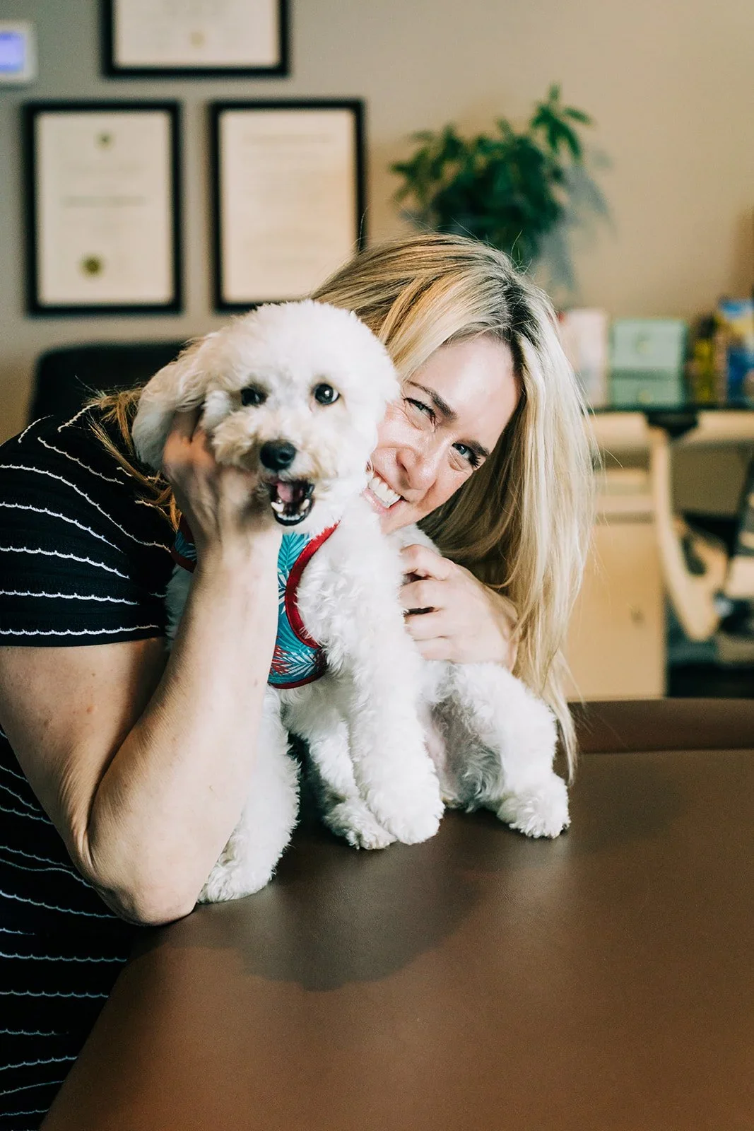 A woman with blonde hair smiling while holding a small white dog with curly fur, in an indoor setting with framed certificates or artwork on the wall and a potted plant in the background.