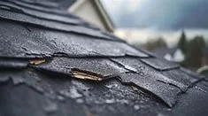 Free Professional Inspection Services