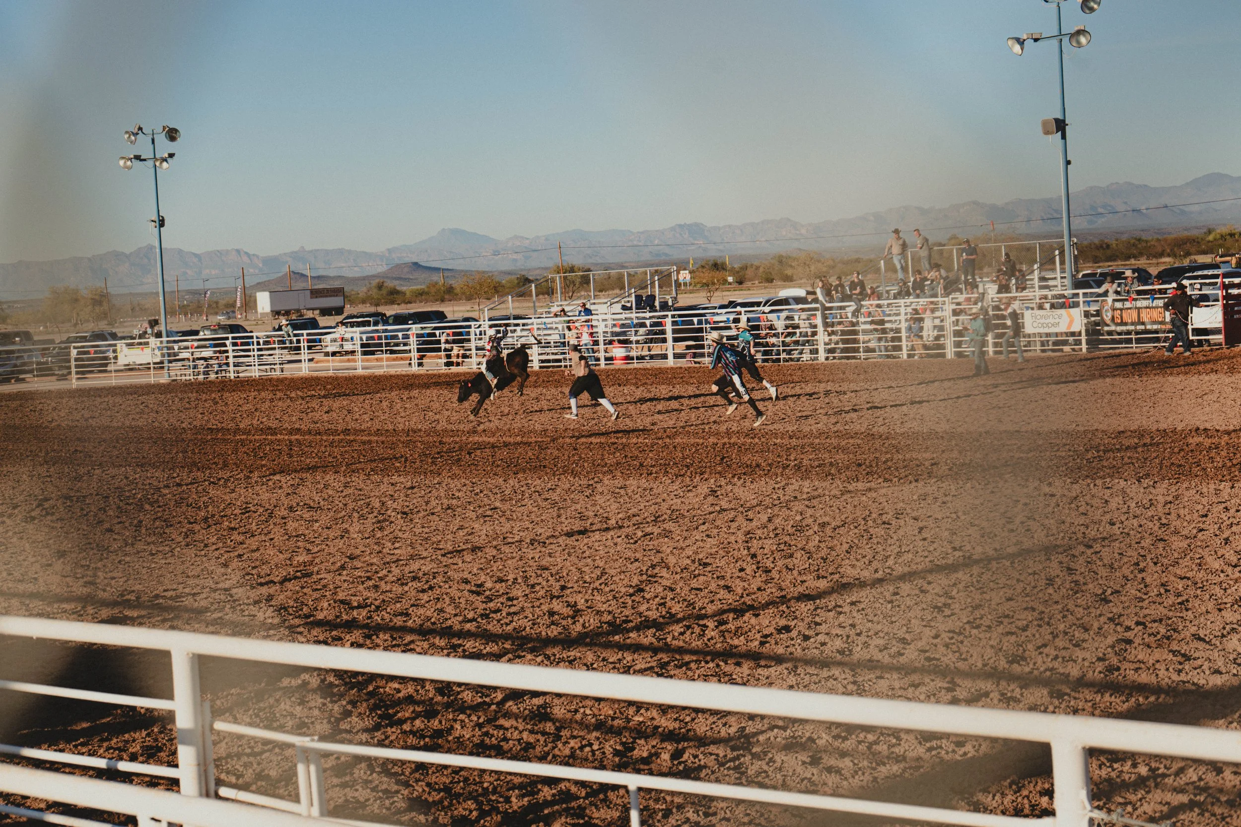 Rodeo-5.jpg