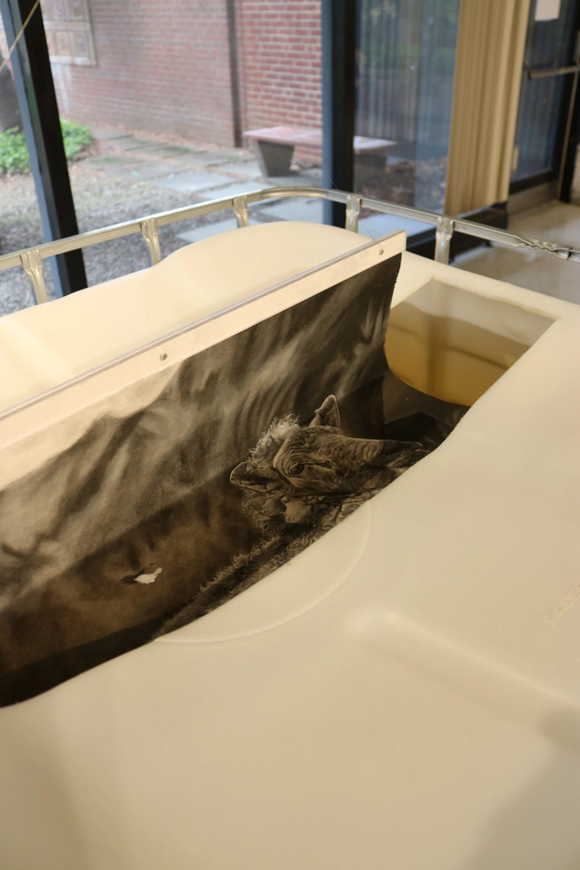 Autumn Wittebort, Sheep Dipping, mixed media, 2023