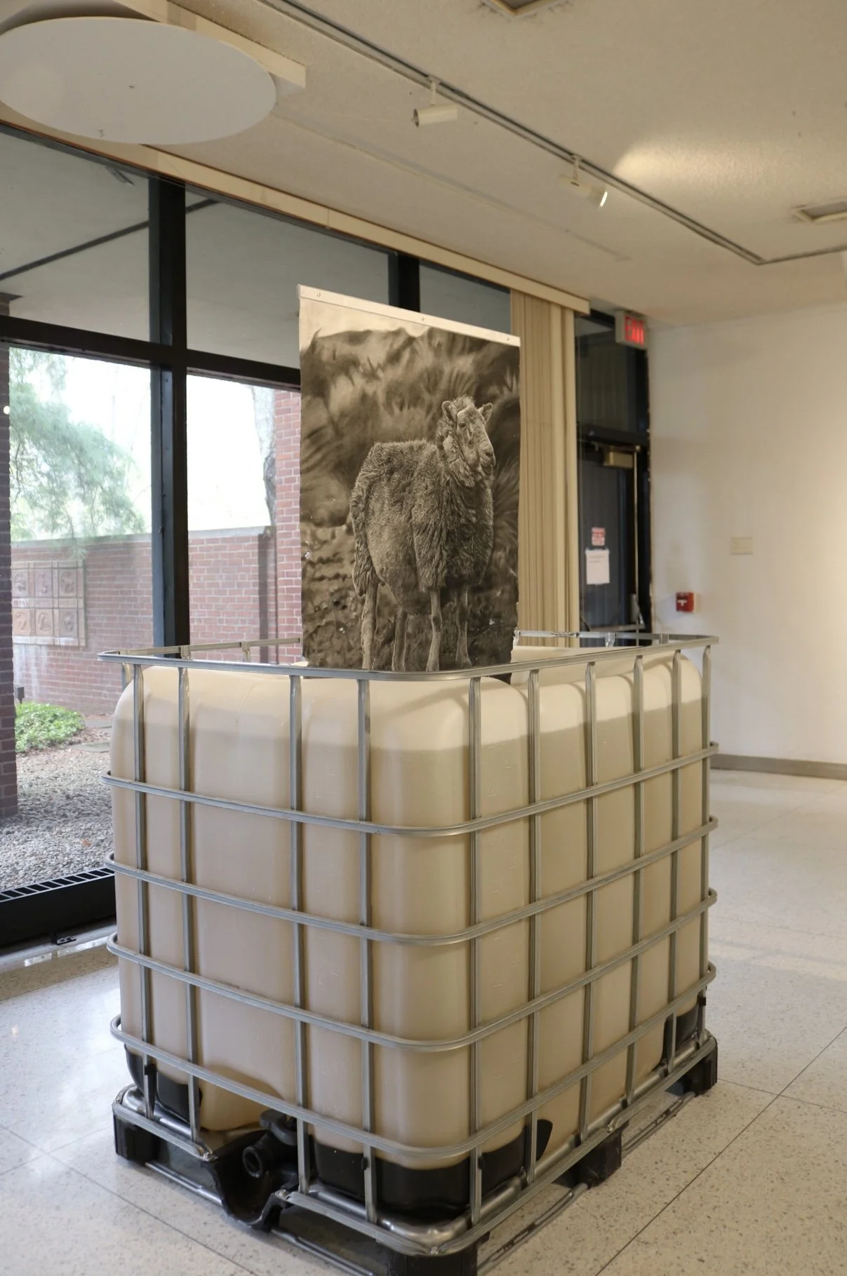 Autumn Wittebort, Sheep Dipping, mixed media, 2023