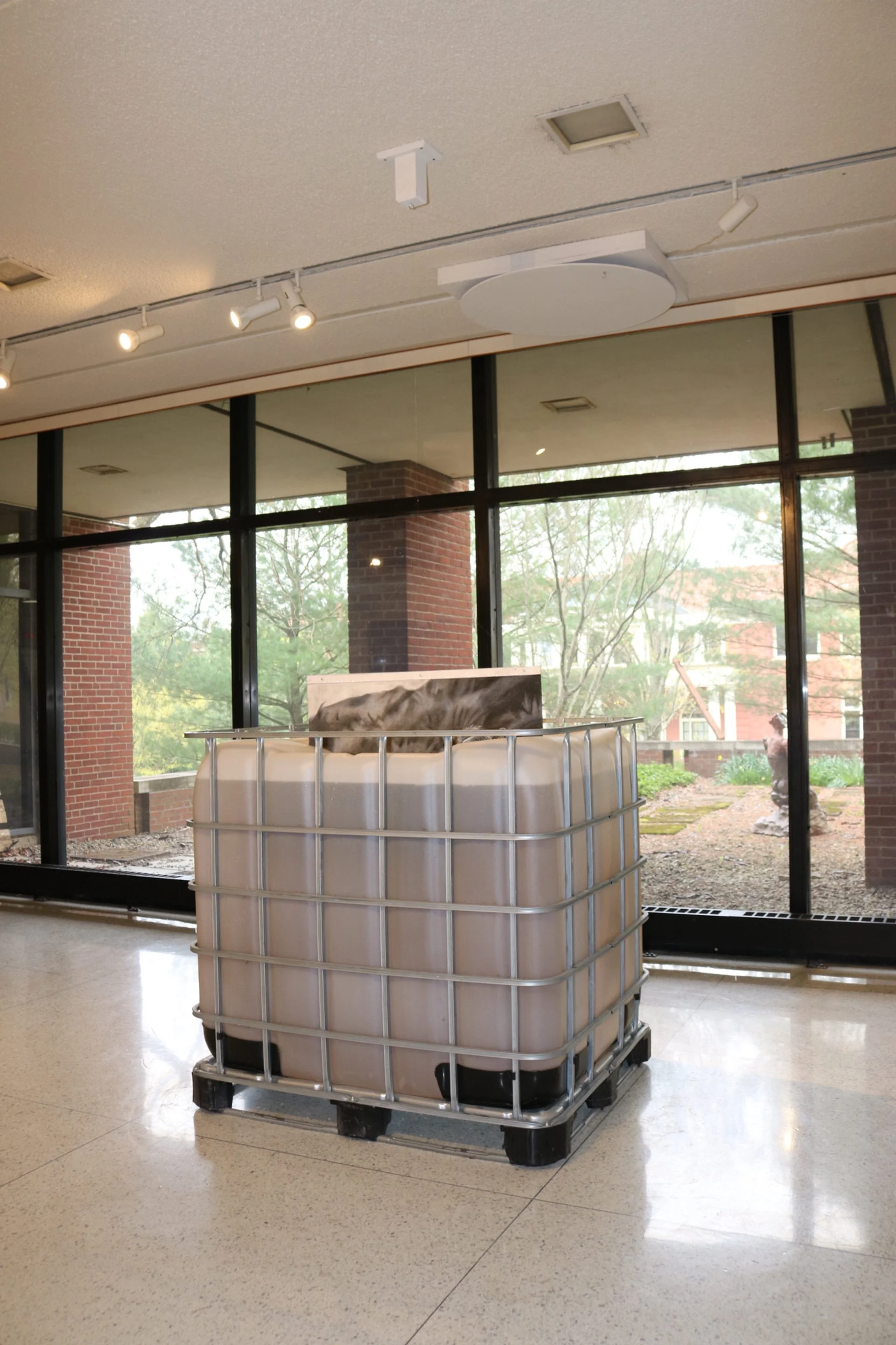 Autumn Wittebort, Sheep Dipping, mixed media, 2023