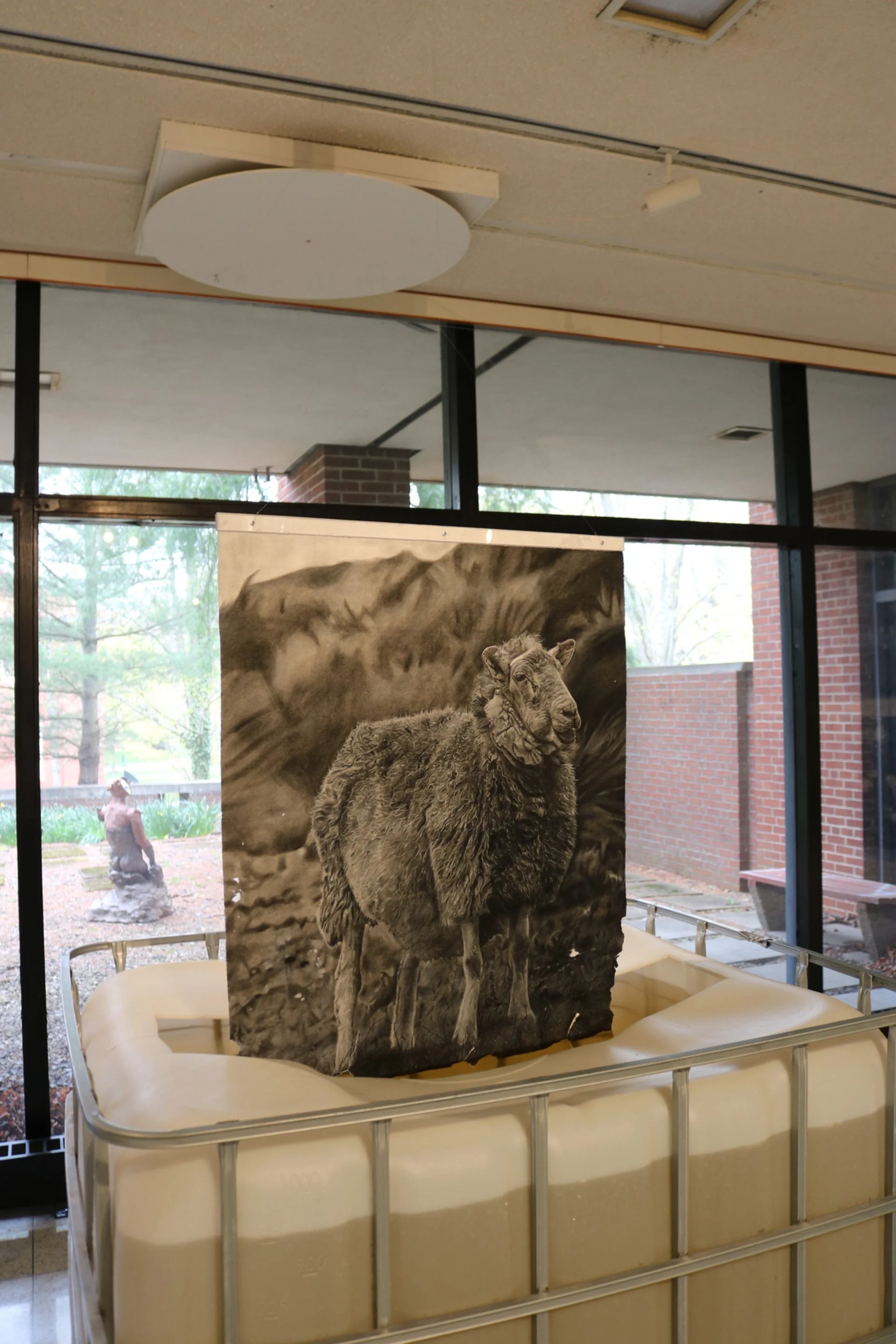 Autumn Wittebort, Sheep Dipping, mixed media, 2023