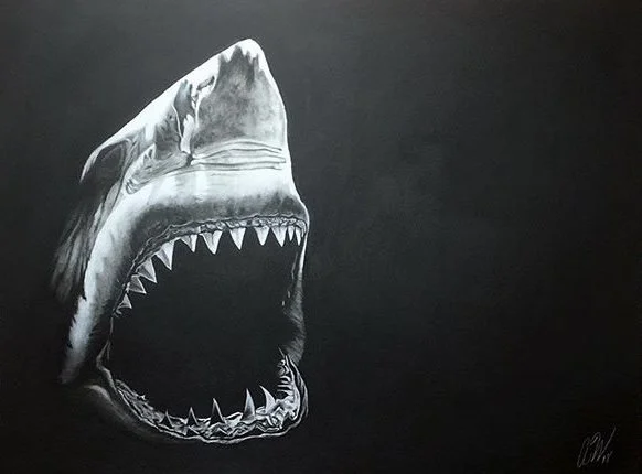 Autumn Wittebort, Shark, charcoal, 2018