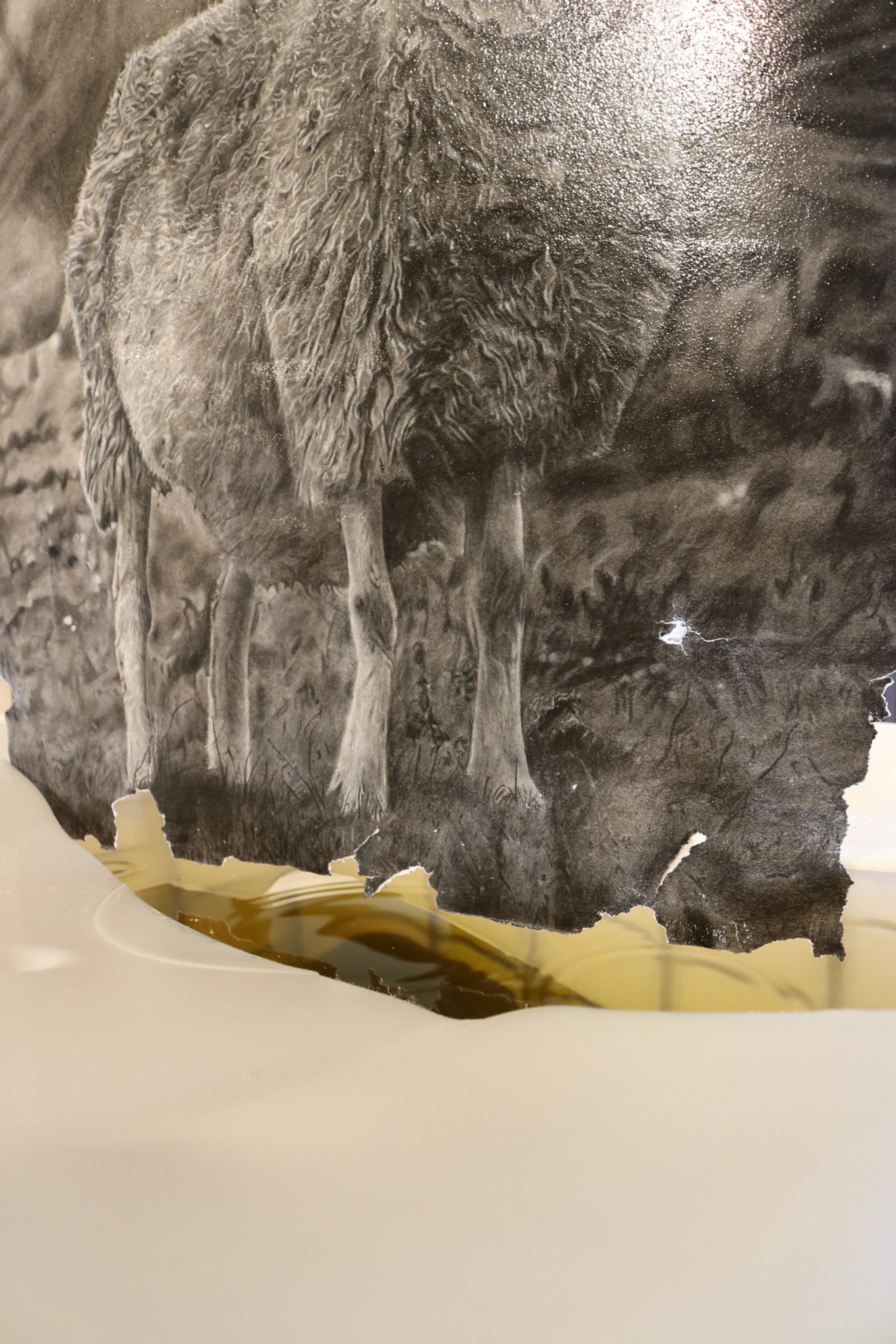 Autumn Wittebort, Sheep Dipping, mixed media, 2023