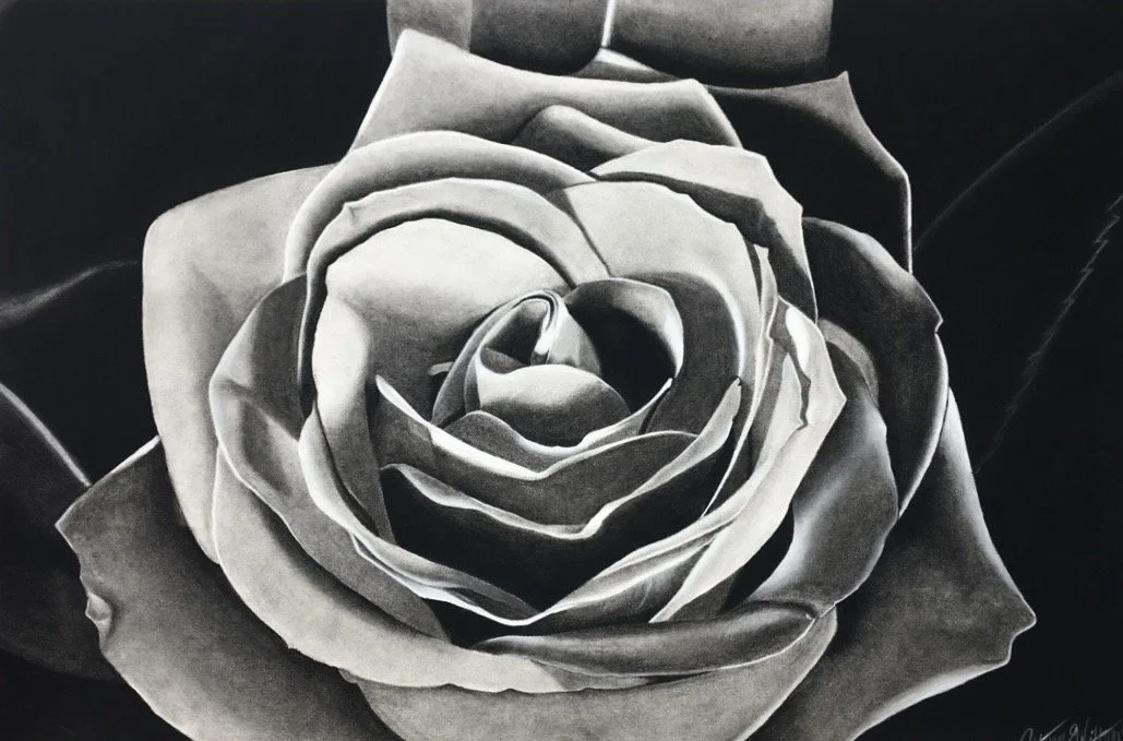 Autumn Wittebort, Rose, charcoal, 2018