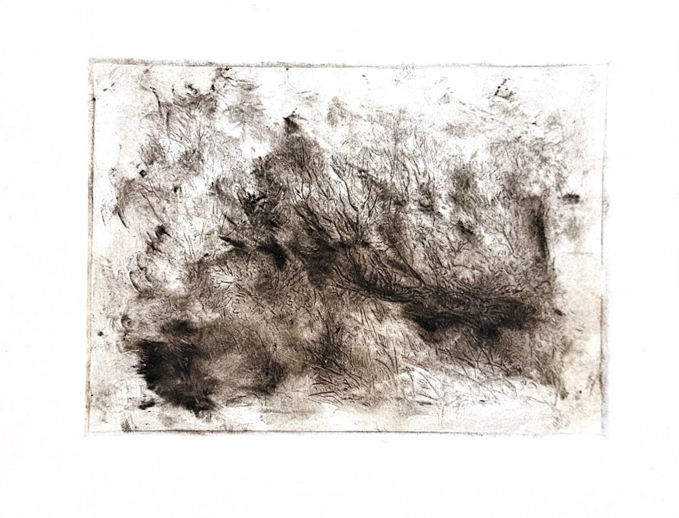Autumn Wittebort, Distorted Landscape 5, drypoint etching, 2025