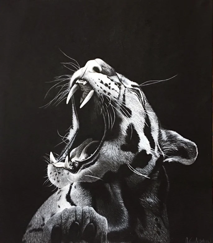 Autumn Wittebort, Leopard, charcoal, 2018