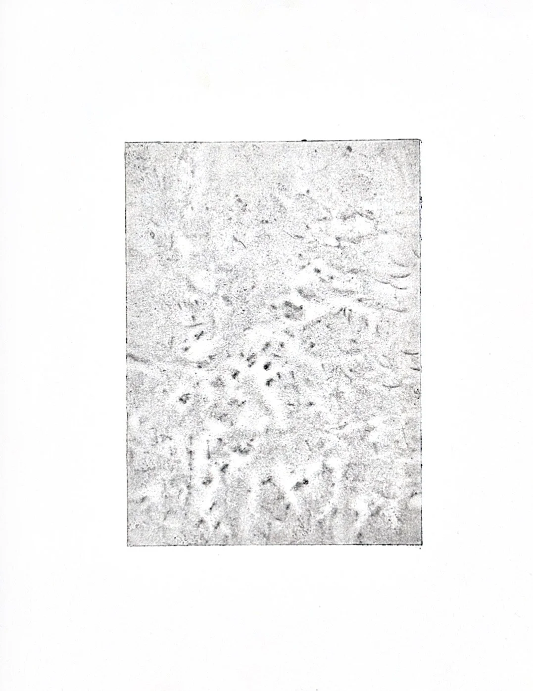 Autumn Wittebort, Suppressed Rage 2, copper plate, 2025