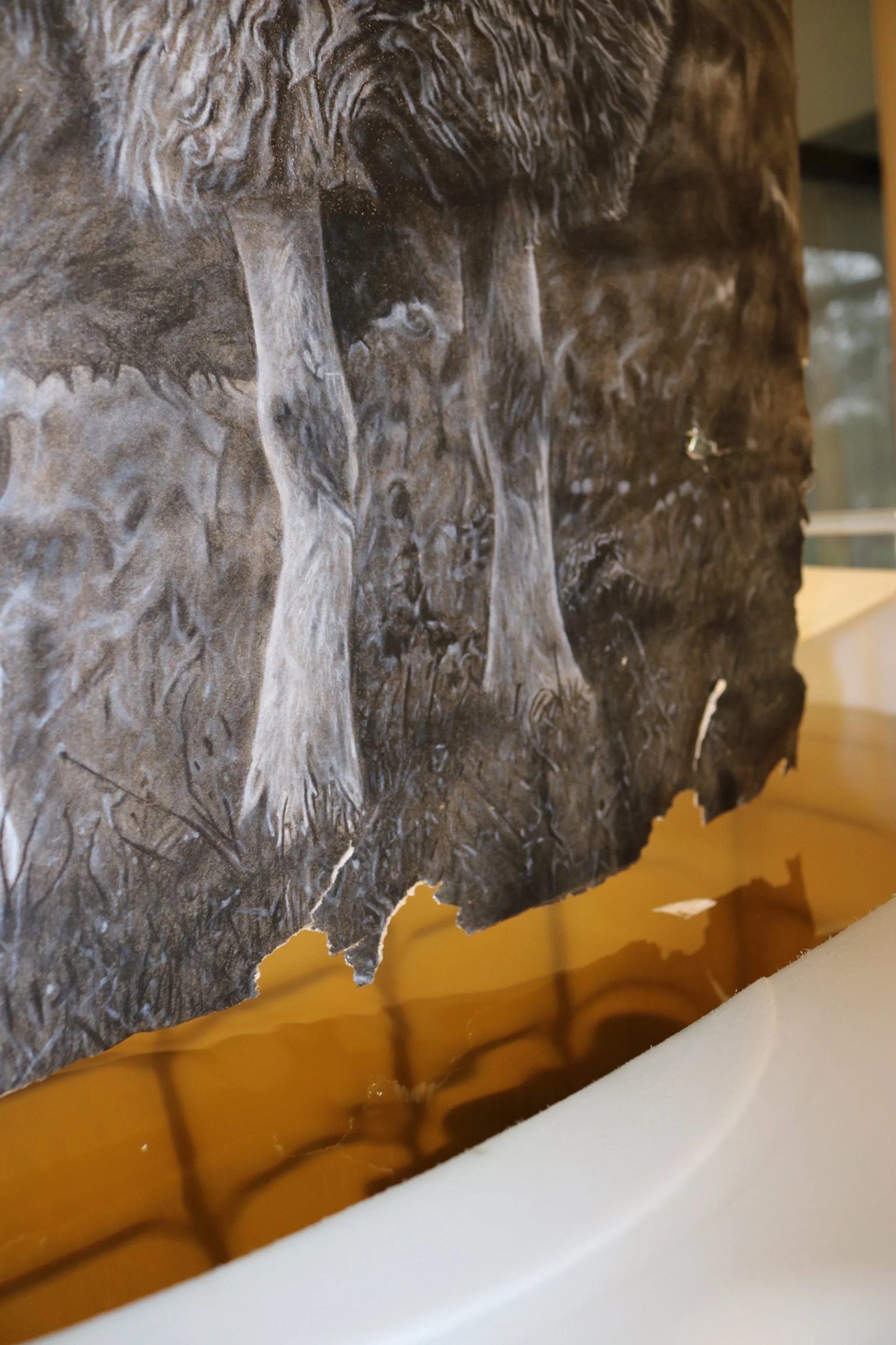 Autumn Wittebort, Sheep Dipping, mixed media, 2023