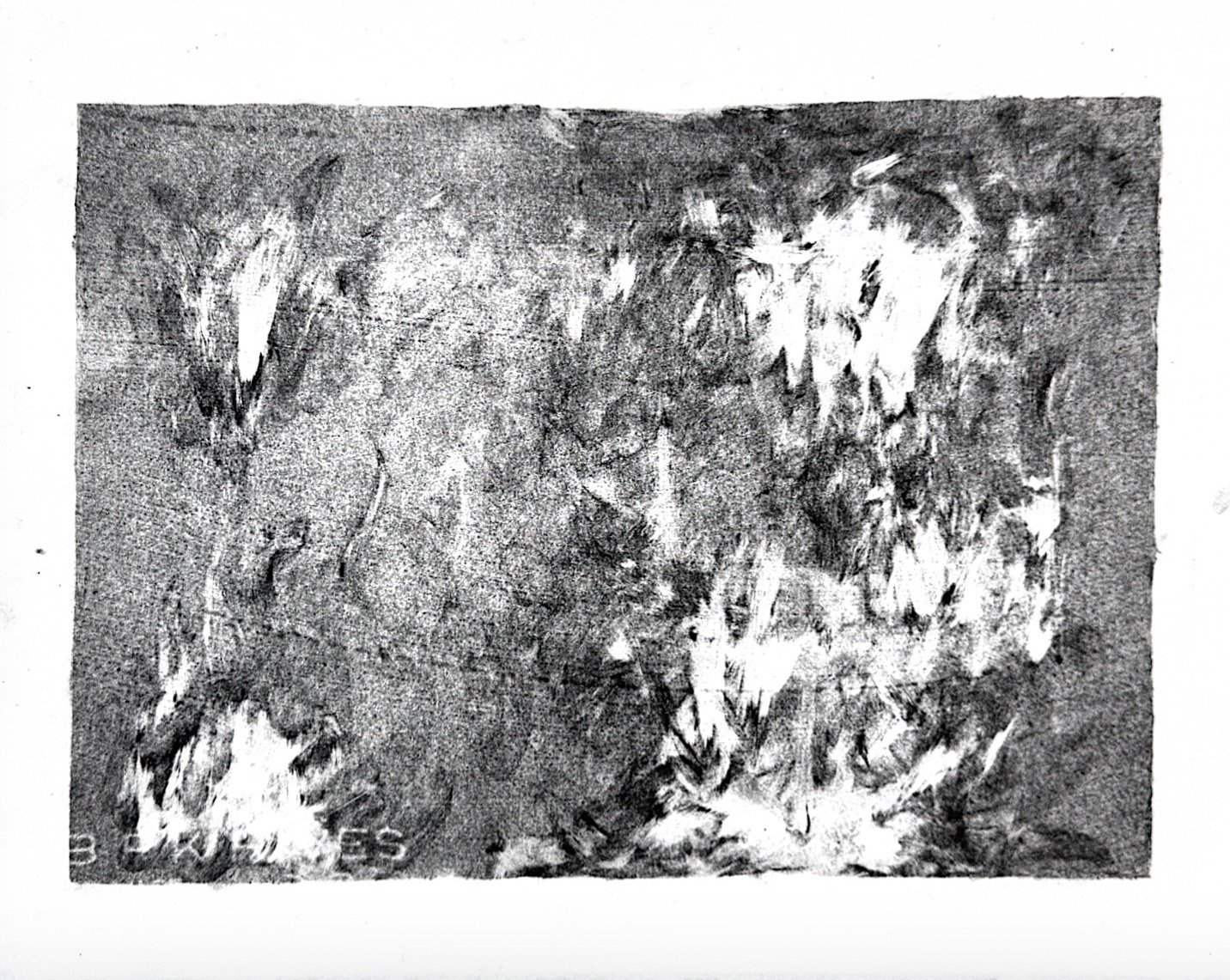 Autumn Wittebort, Uncovering a Landscape 5, lithography, 2025