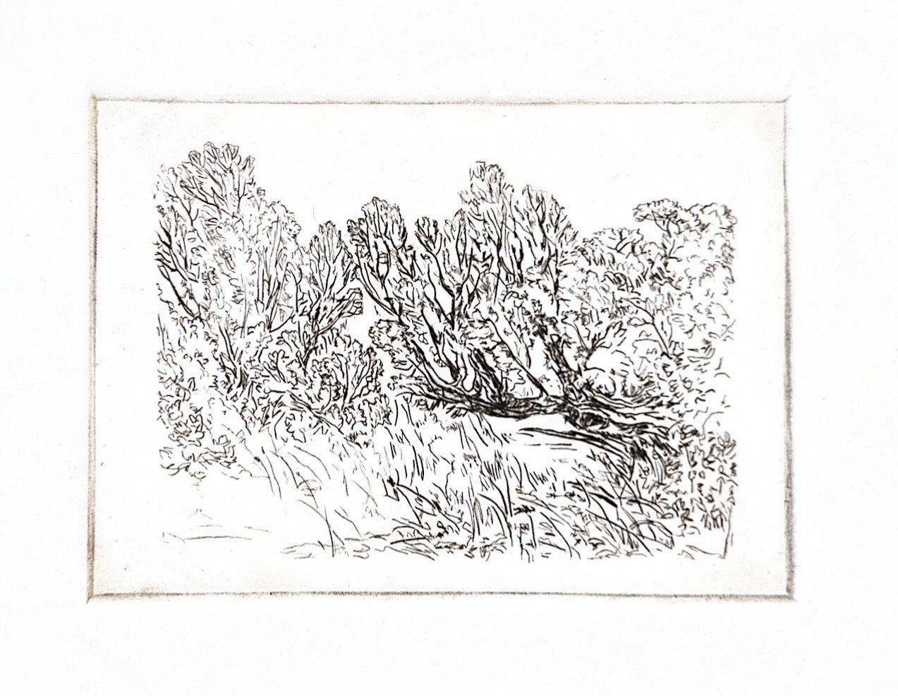 Autumn Wittebort, Distorted Landscape 1, drypoint etching, 2025