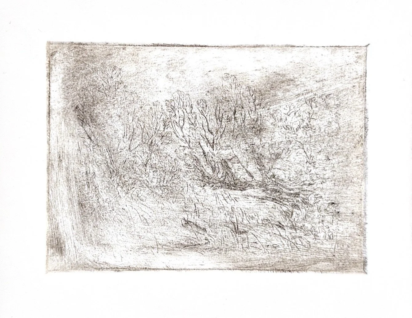 Autumn Wittebort, Distorted Landscape 4, drypoint etching, 2025