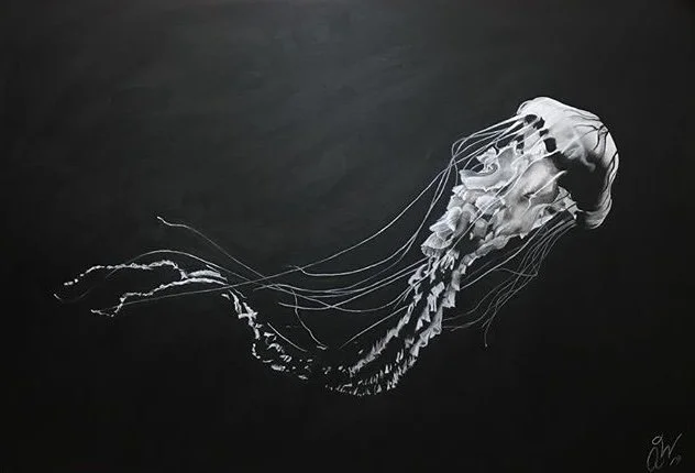 Autumn Wittebort, Jellyfish, charcoal, 2018