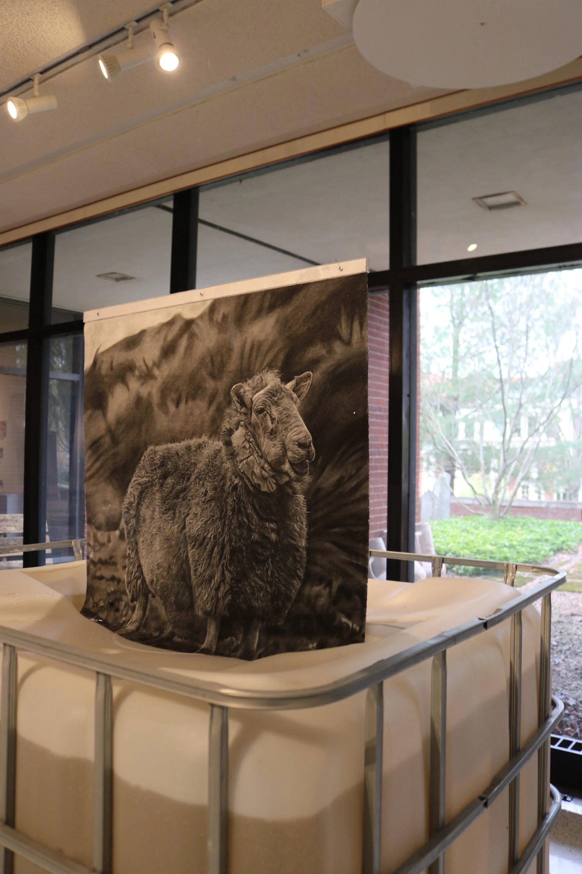 Autumn Wittebort, Sheep Dipping, mixed media, 2023