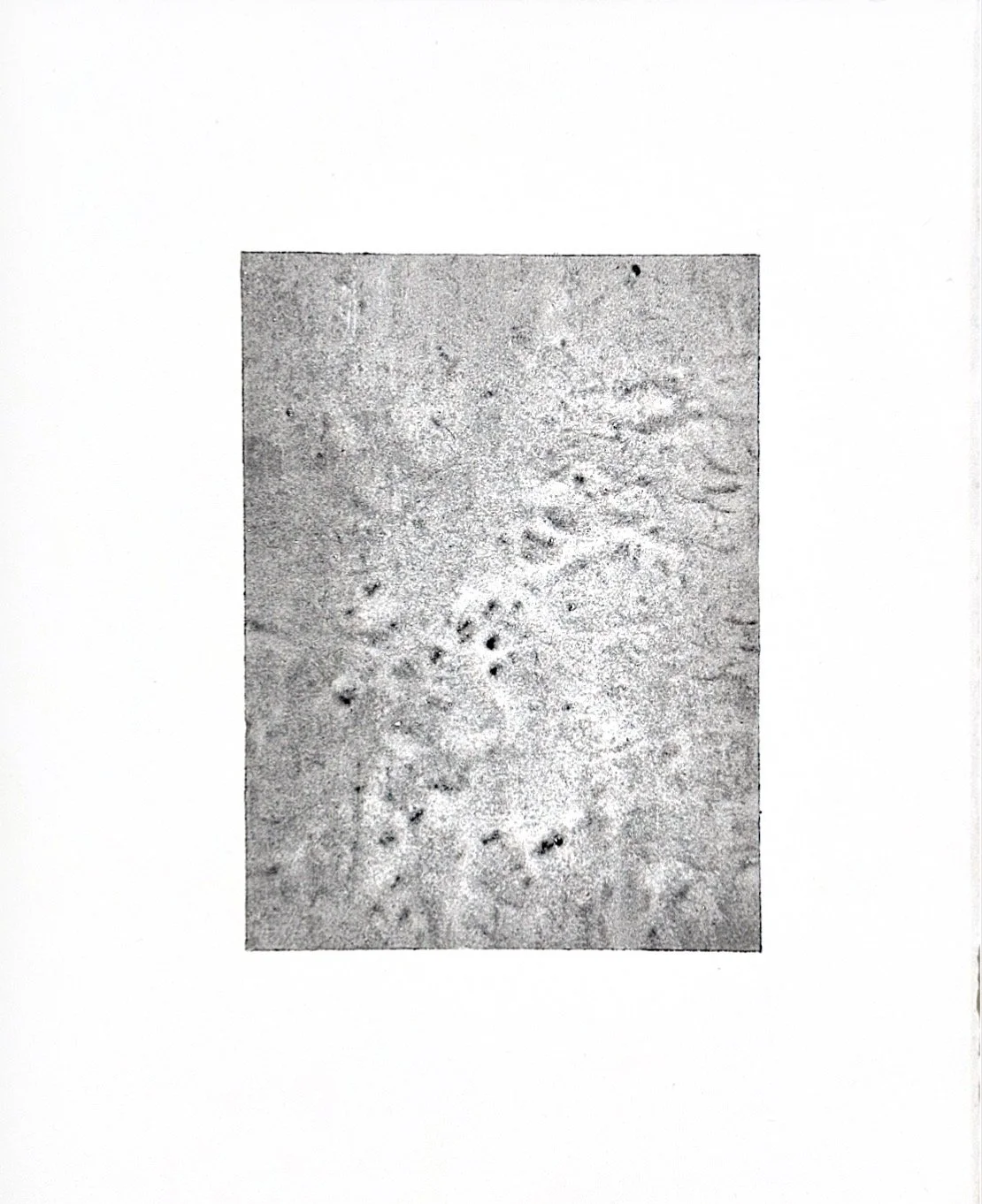 Autumn Wittebort, Suppressed Rage 4, copper plate, 2025