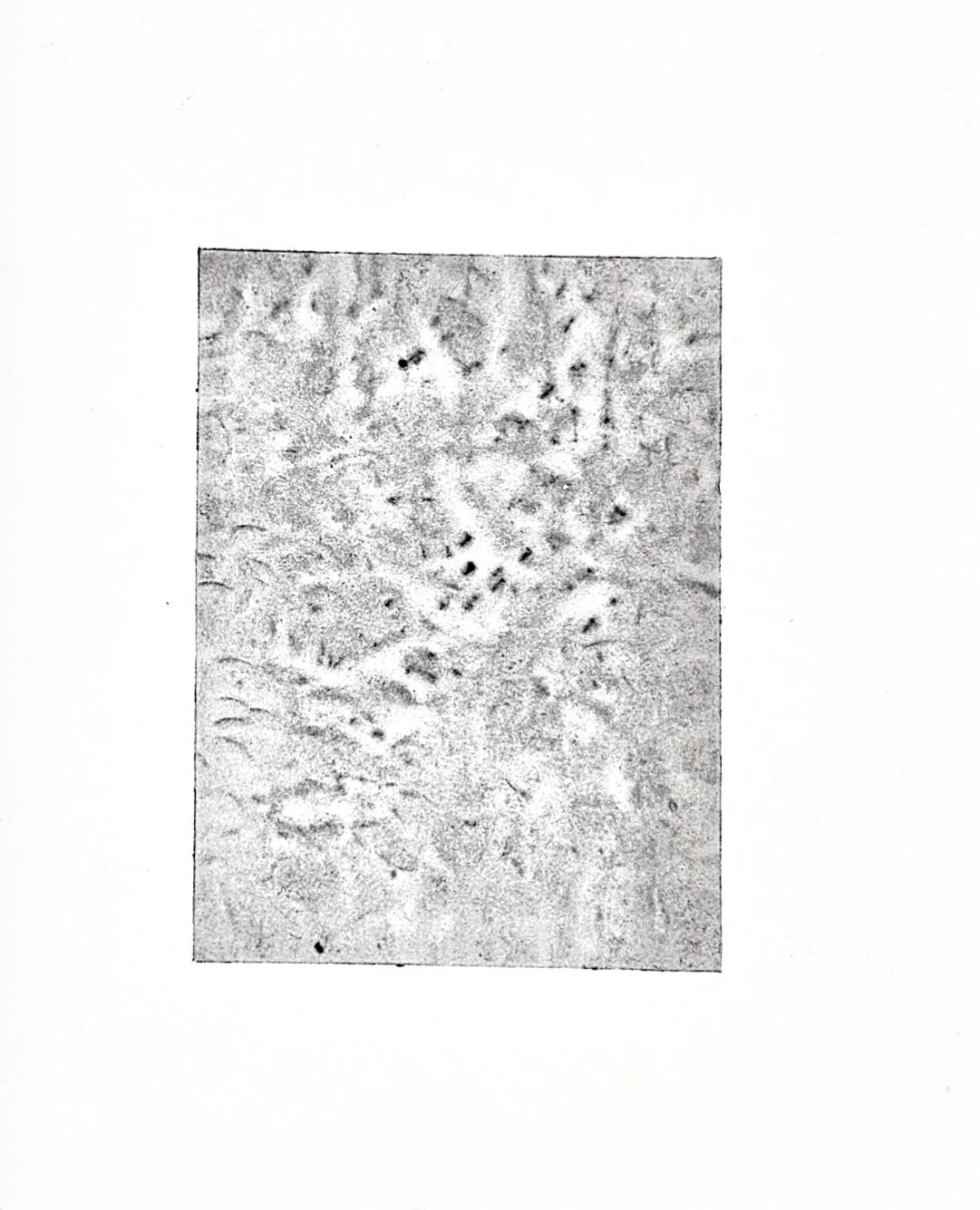 Autumn Wittebort, Suppressed Rage 3, copper plate, 2025