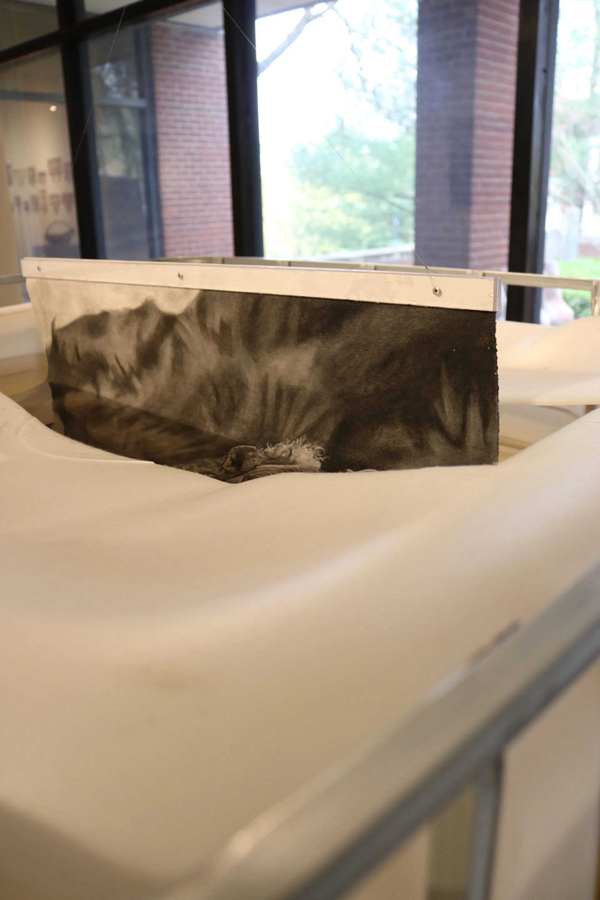 Autumn Wittebort, Sheep Dipping, mixed media, 2023