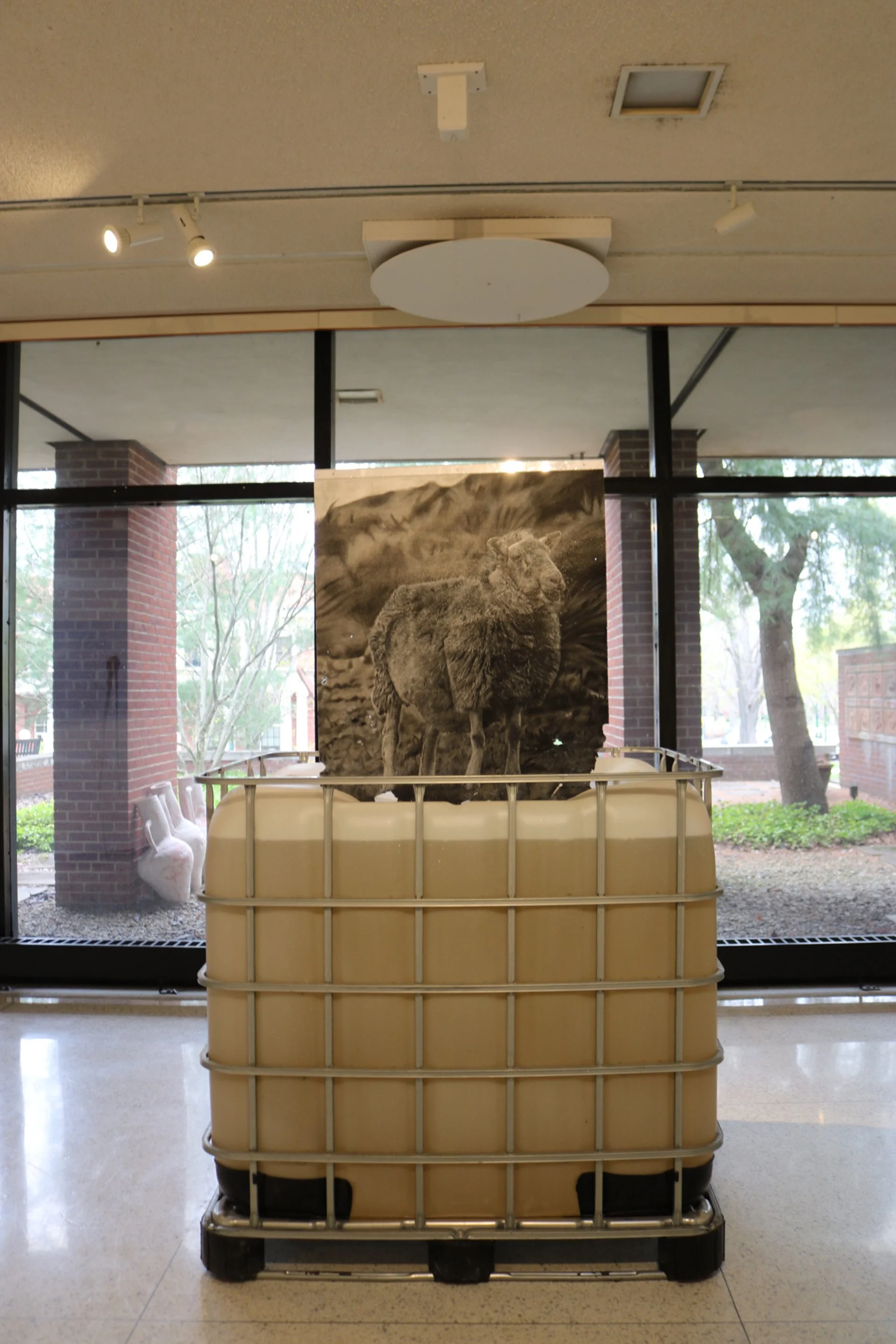 Autumn Wittebort, Sheep Dipping, mixed media, 2023