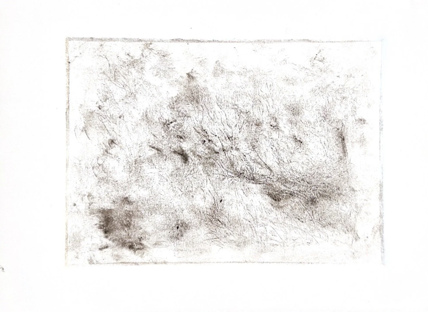 Autumn Wittebort, Distorted Landscape 3, drypoint etching, 2025