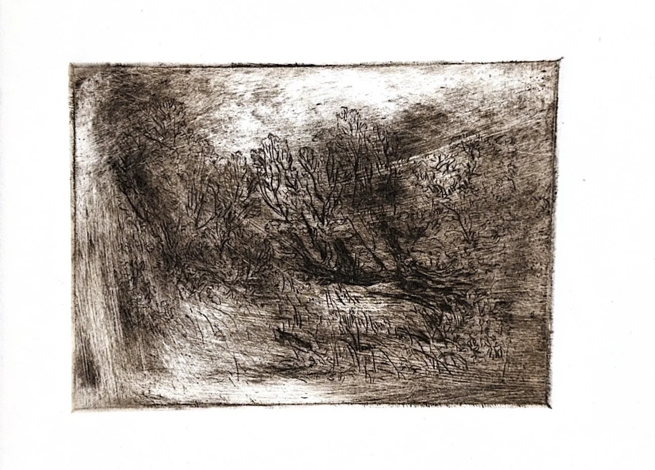 Autumn Wittebort, Distorted Landscape 6, drypoint etching, 2025