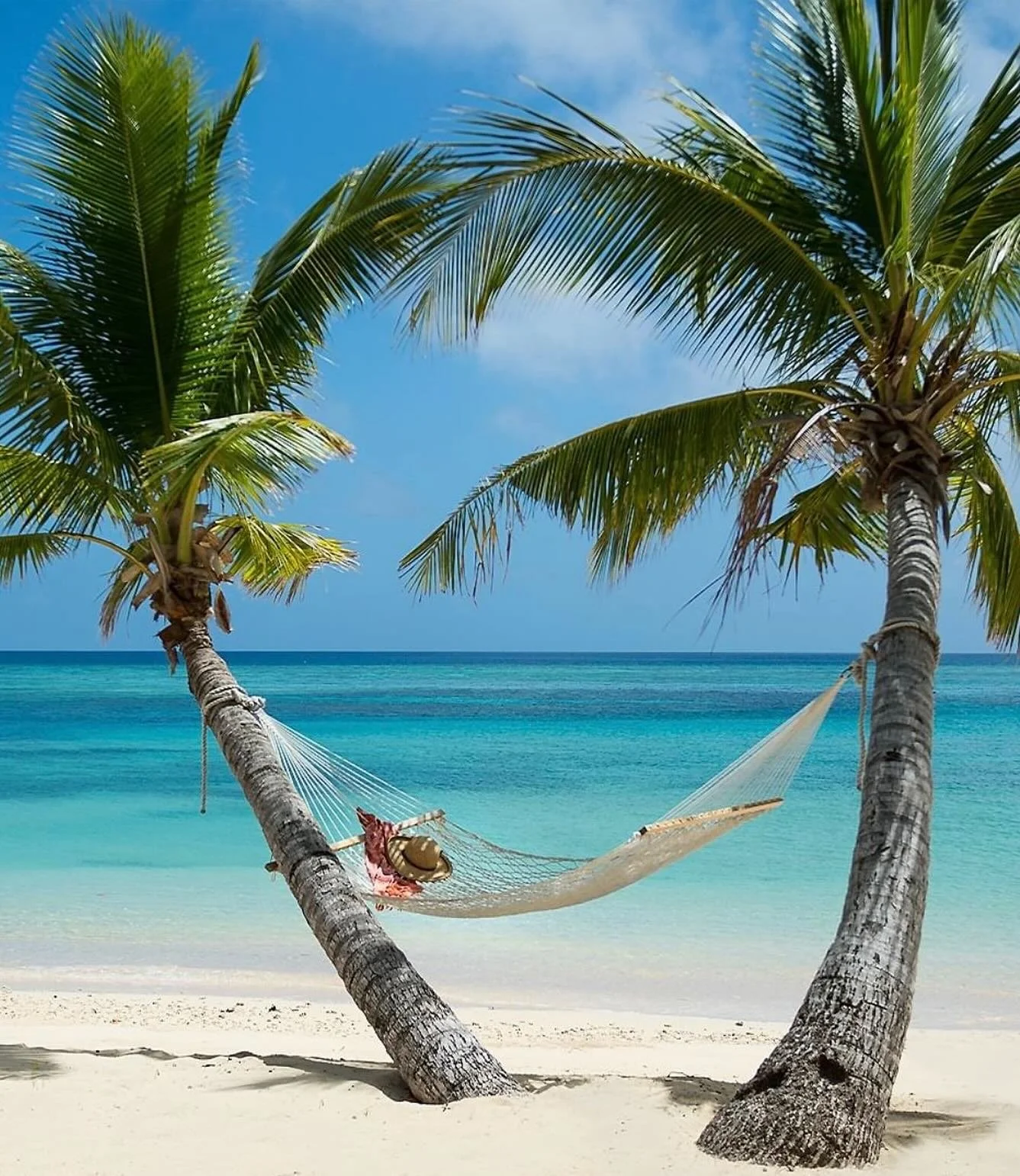 you know you deserve this!
#coconutgrovefiji #magic #fantasyworld #reef #rainbowreef #coconut #coconuts #beach #sandybeach #whitesandbeach #fiji #taveuni #island #islands #scuba #snorkel #dive #diving #underwater #softcoral #snorkeling #seastheday #s