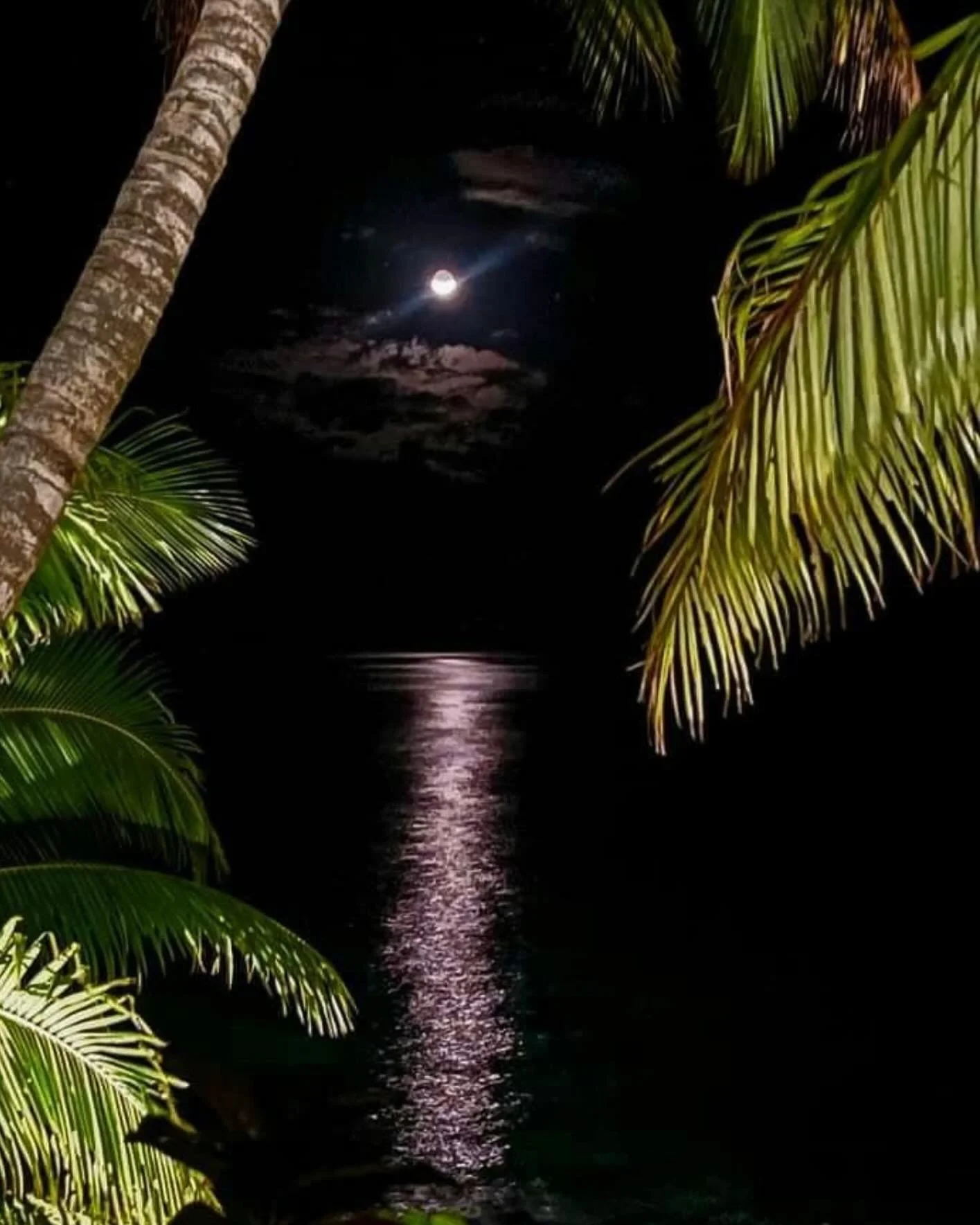 Taveuni  moonrise. Thank you, terri  #coconutgrovefiji #sunset #fiji #thankful #higherpower #grateful #stunning #bigsky #thankyou #ocean #sea #seastheday #waterfront #sandybeach #onceinalifetime #endoftheday