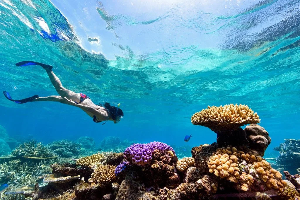 snorkelling.jpg