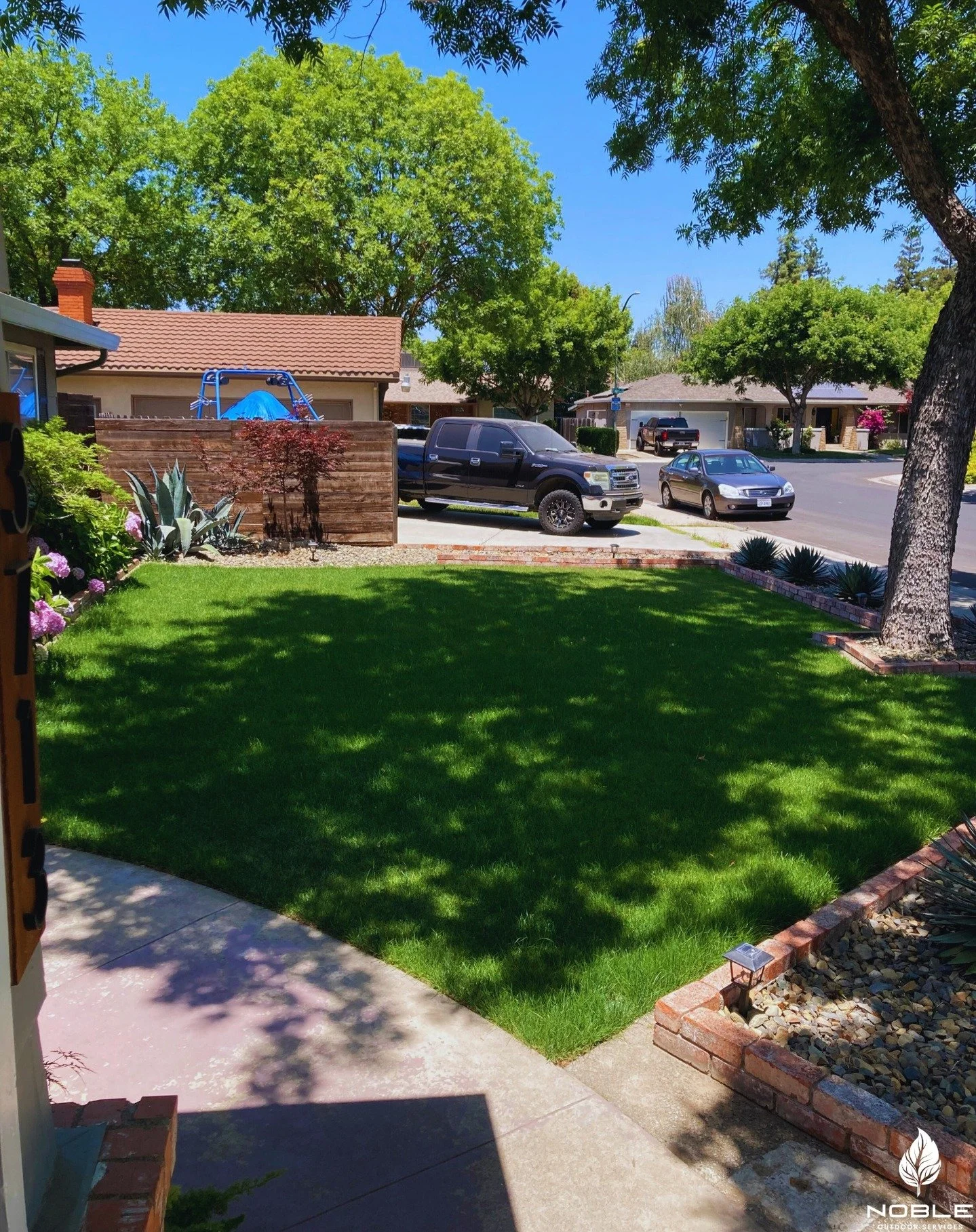 residential lawn repaired after image