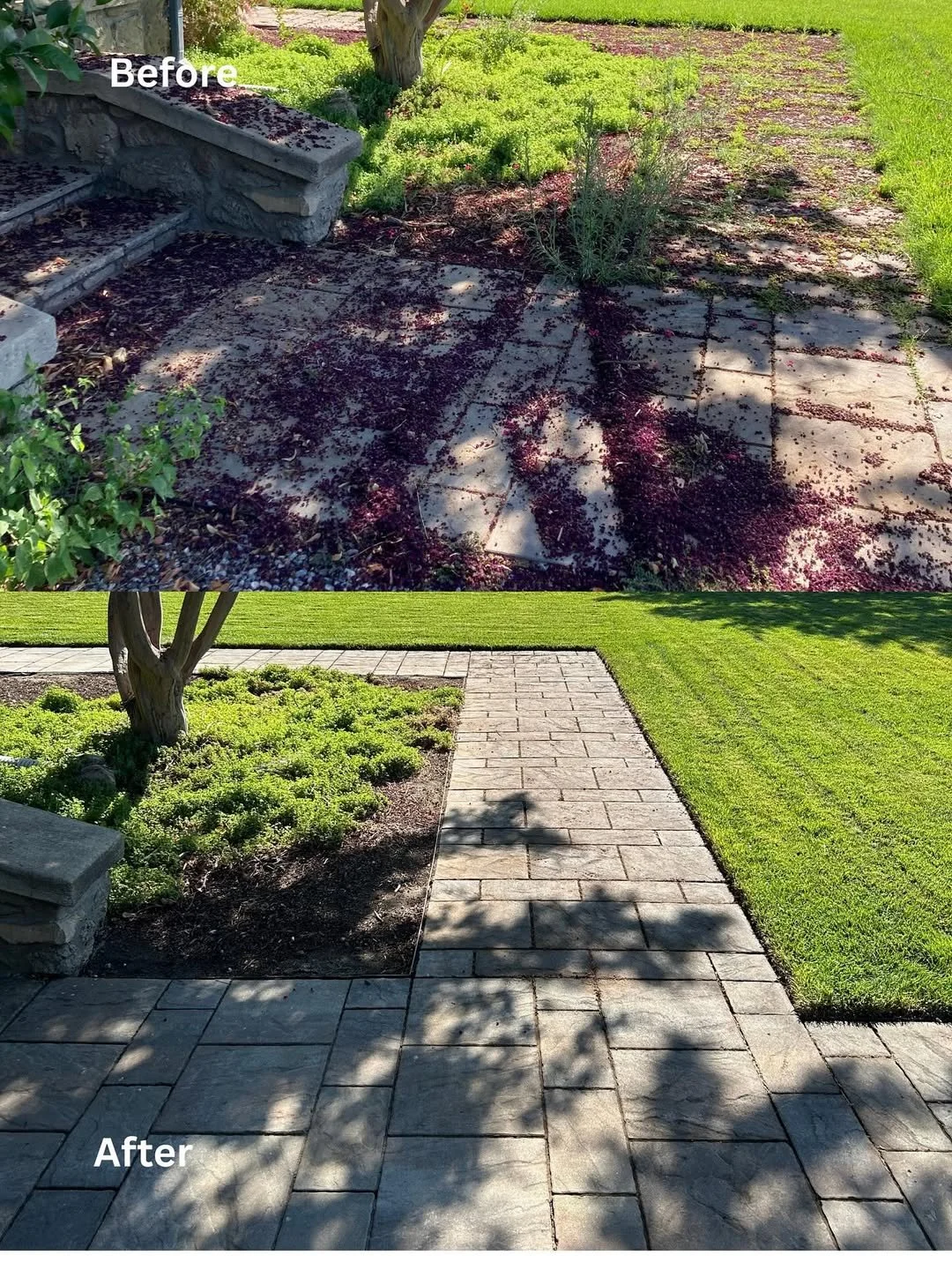 home landscaping before and after