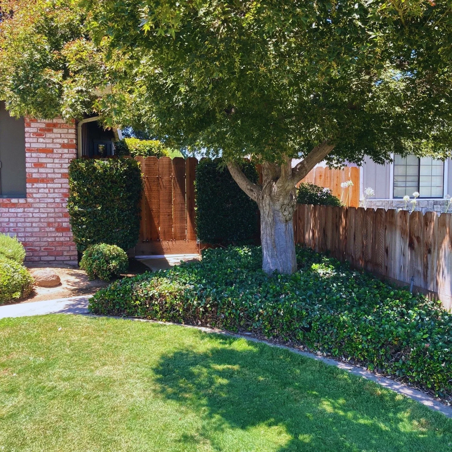 Residential Landscape maintenance and tree trimming