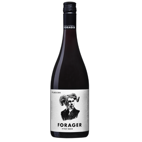 Forager Pinot Noir 2023 