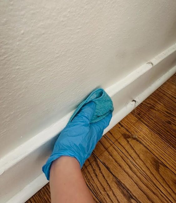 Screenshot 2026-03-11 140915.png