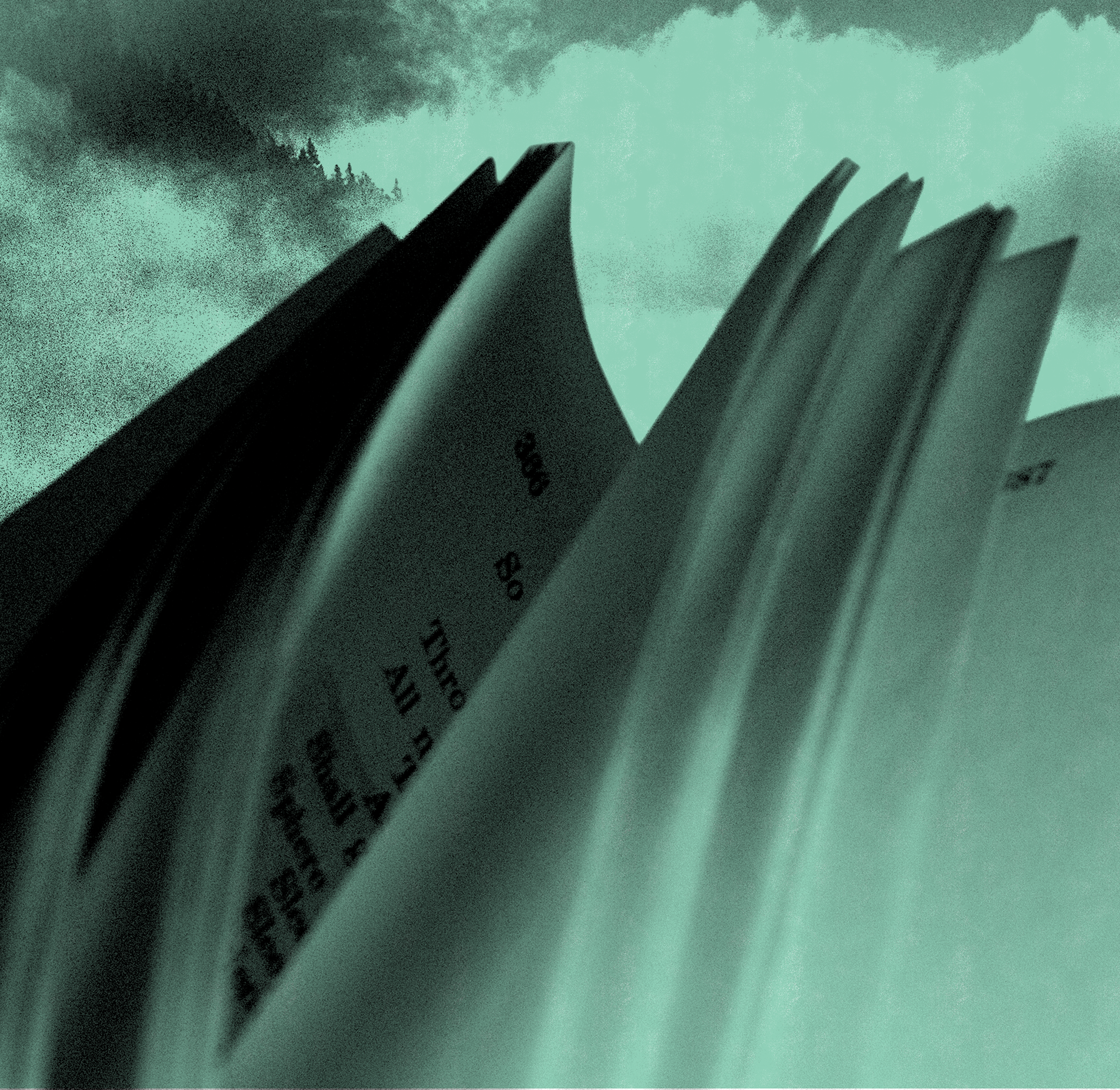 05-Words Underlined-Inner-Banff.png