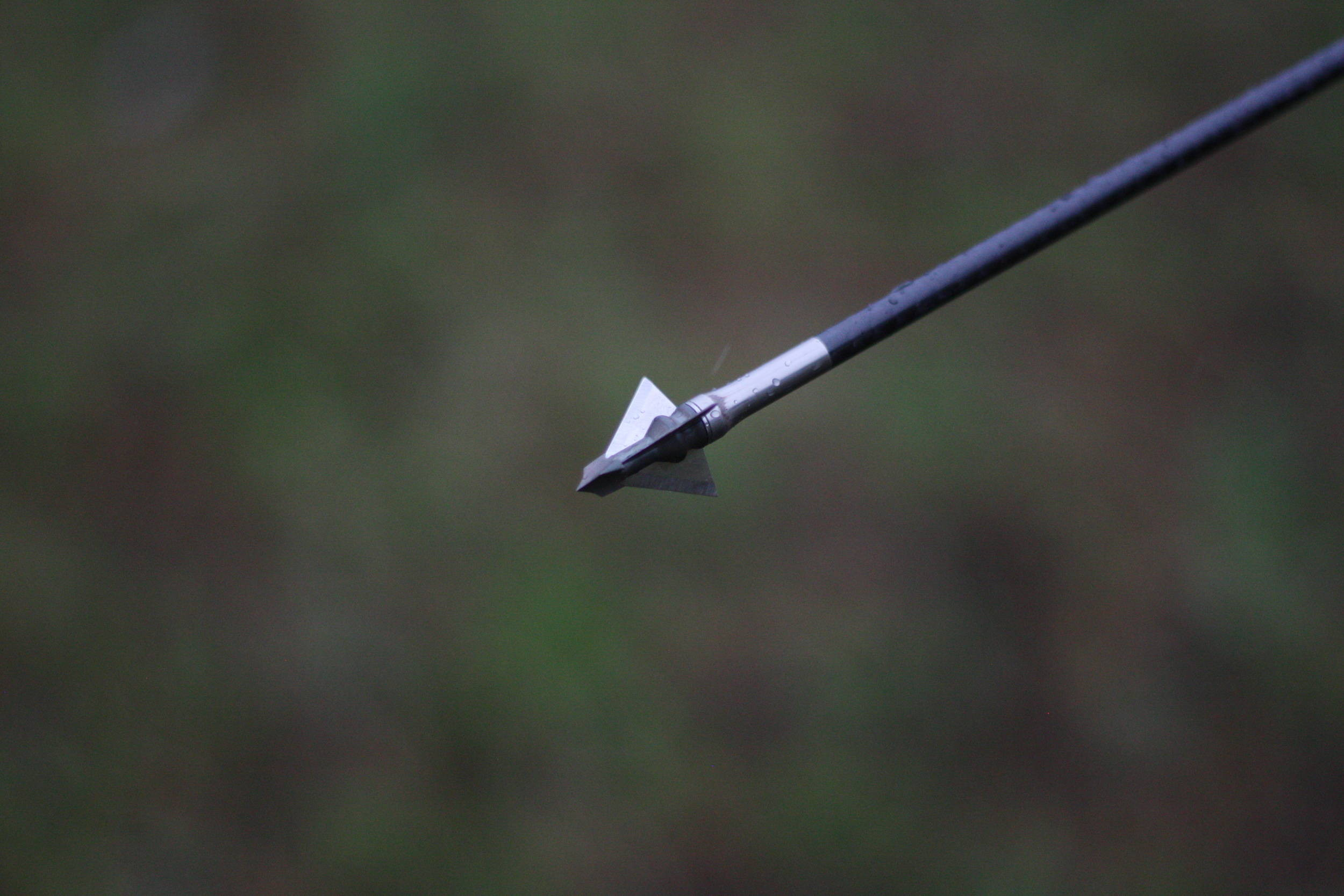B1 Broadhead (Pack of 3)
