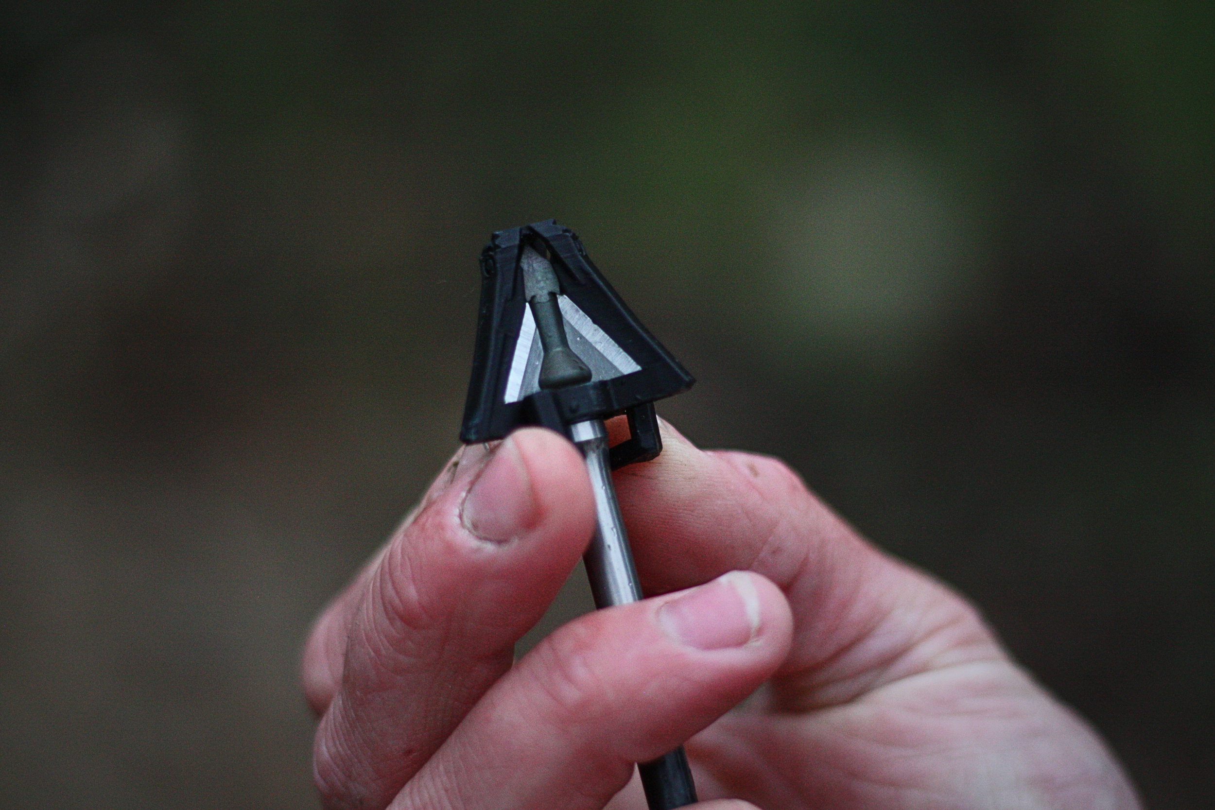 Protector Clips (On-Arrow)