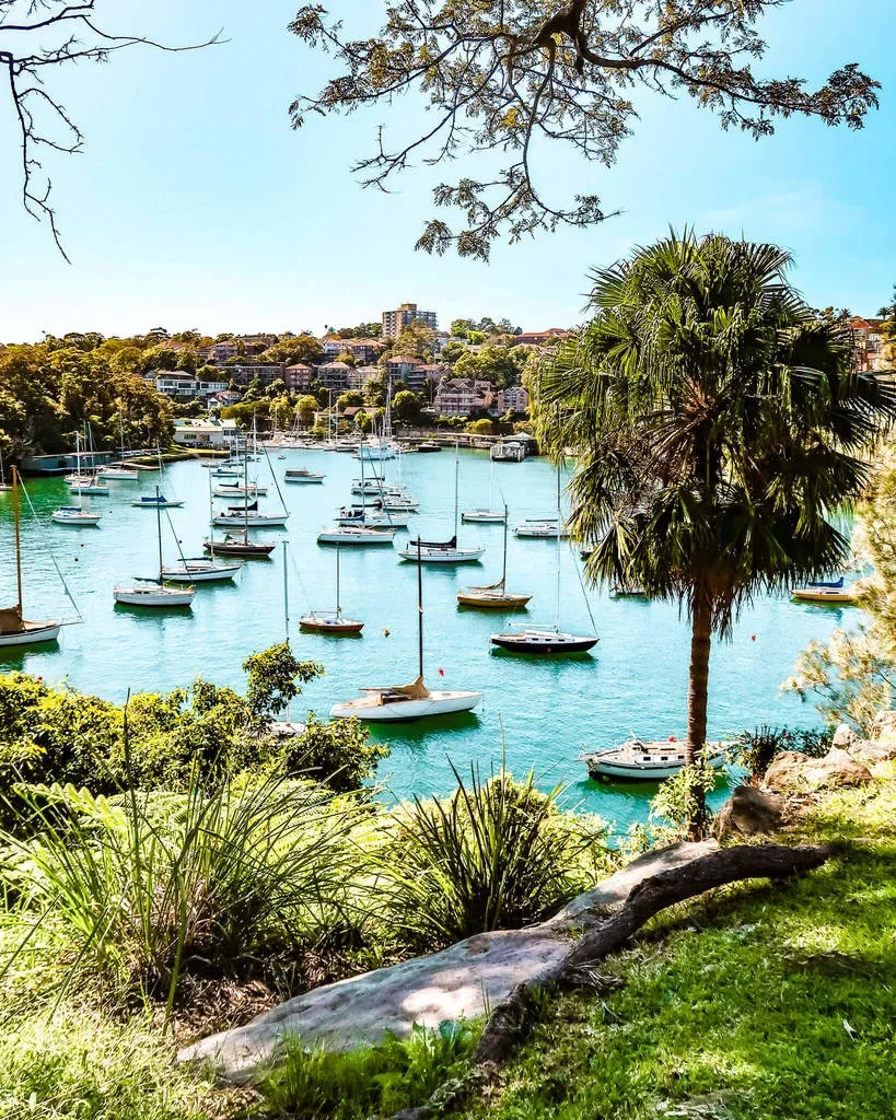 mosman_to_cremorne_point_walk_sydney-16_50.jpg.webp