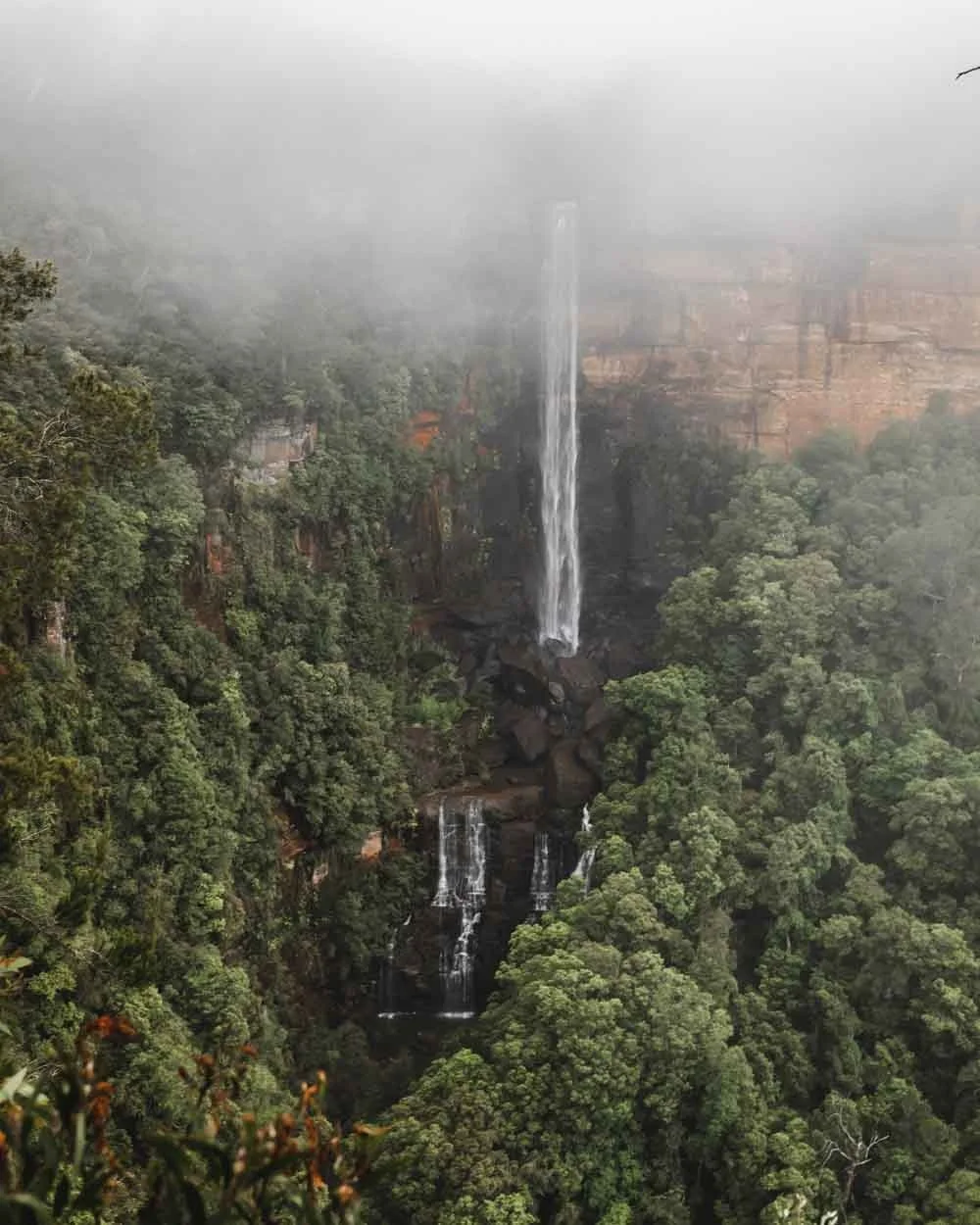 The+view+from+Jersey+Lookout+at+Fitzroy+Falls.jpeg