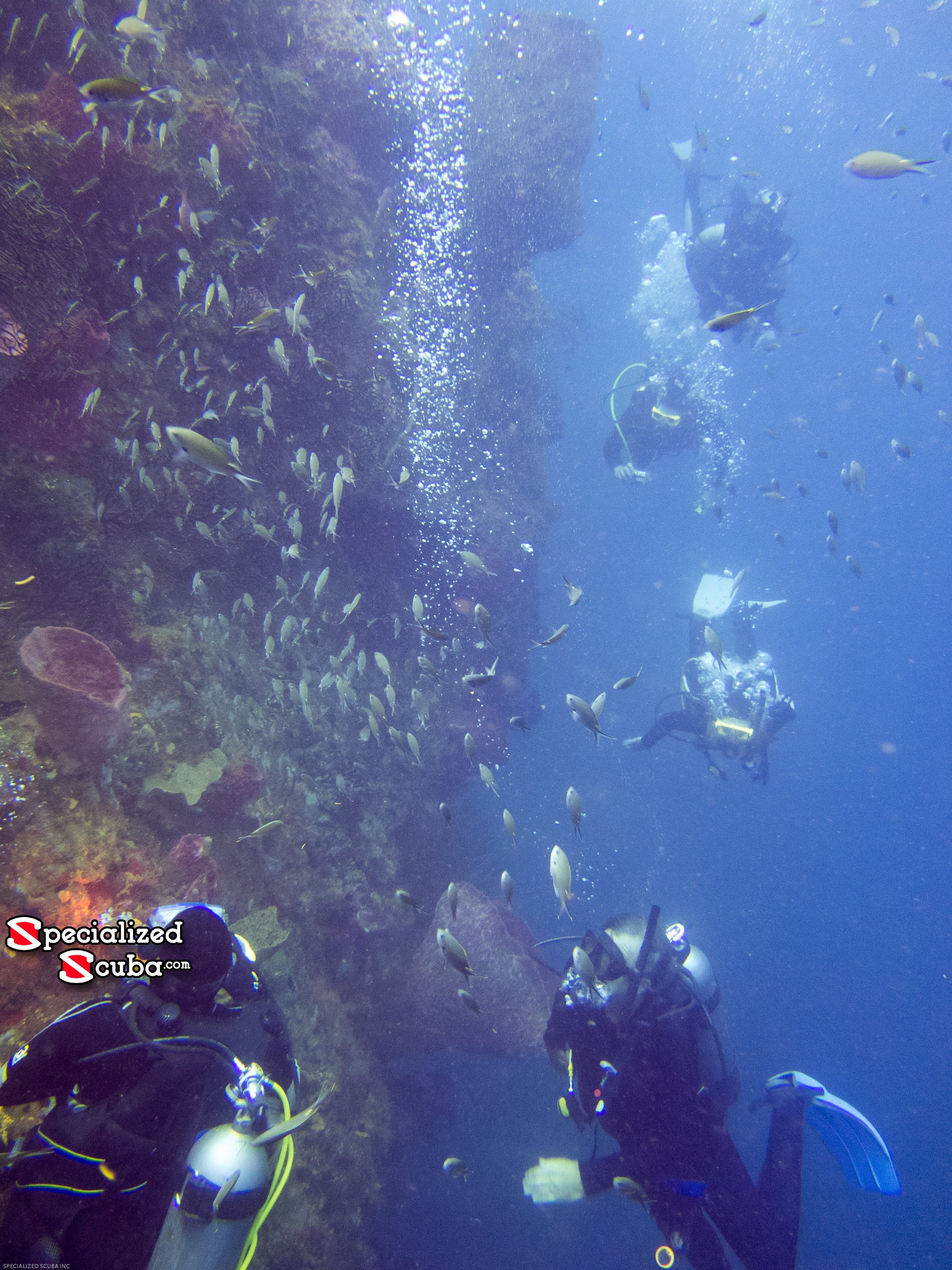 Han's Reef dive site