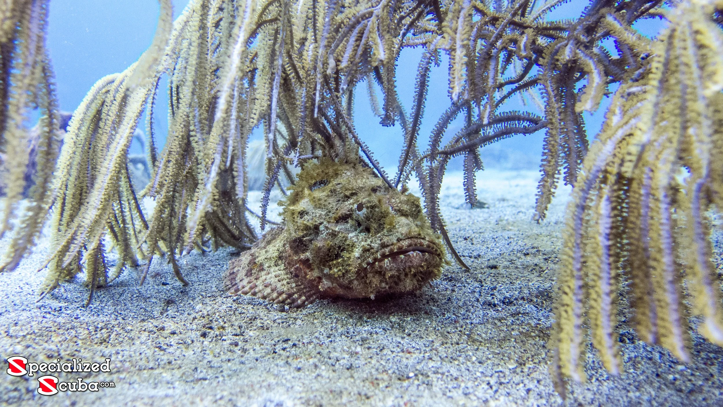 IMG_2164.jpg