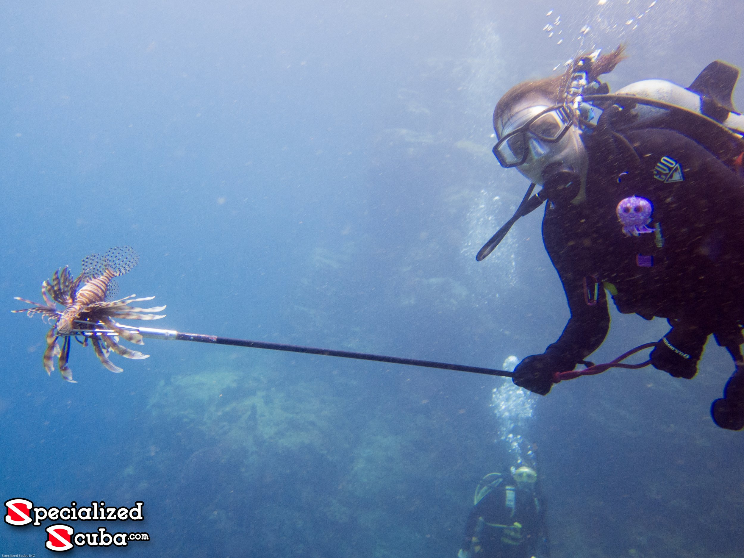 Lionfish