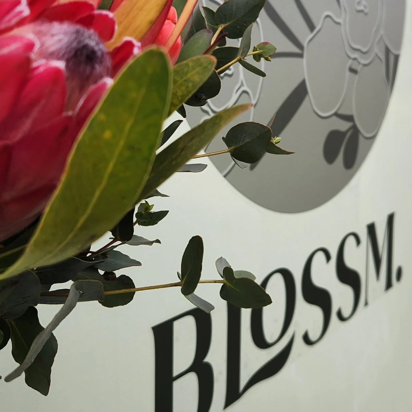 A harmony between modern caf&eacute; culture and the natural world 🌿