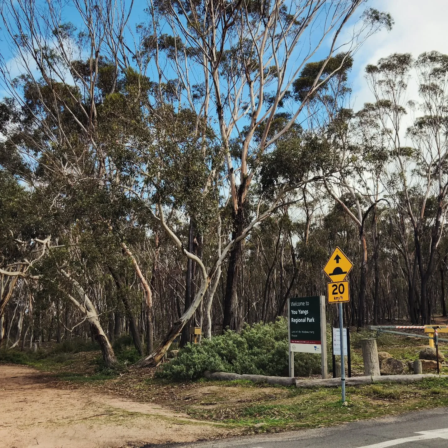 Coming Soon 🌿🌸☺️