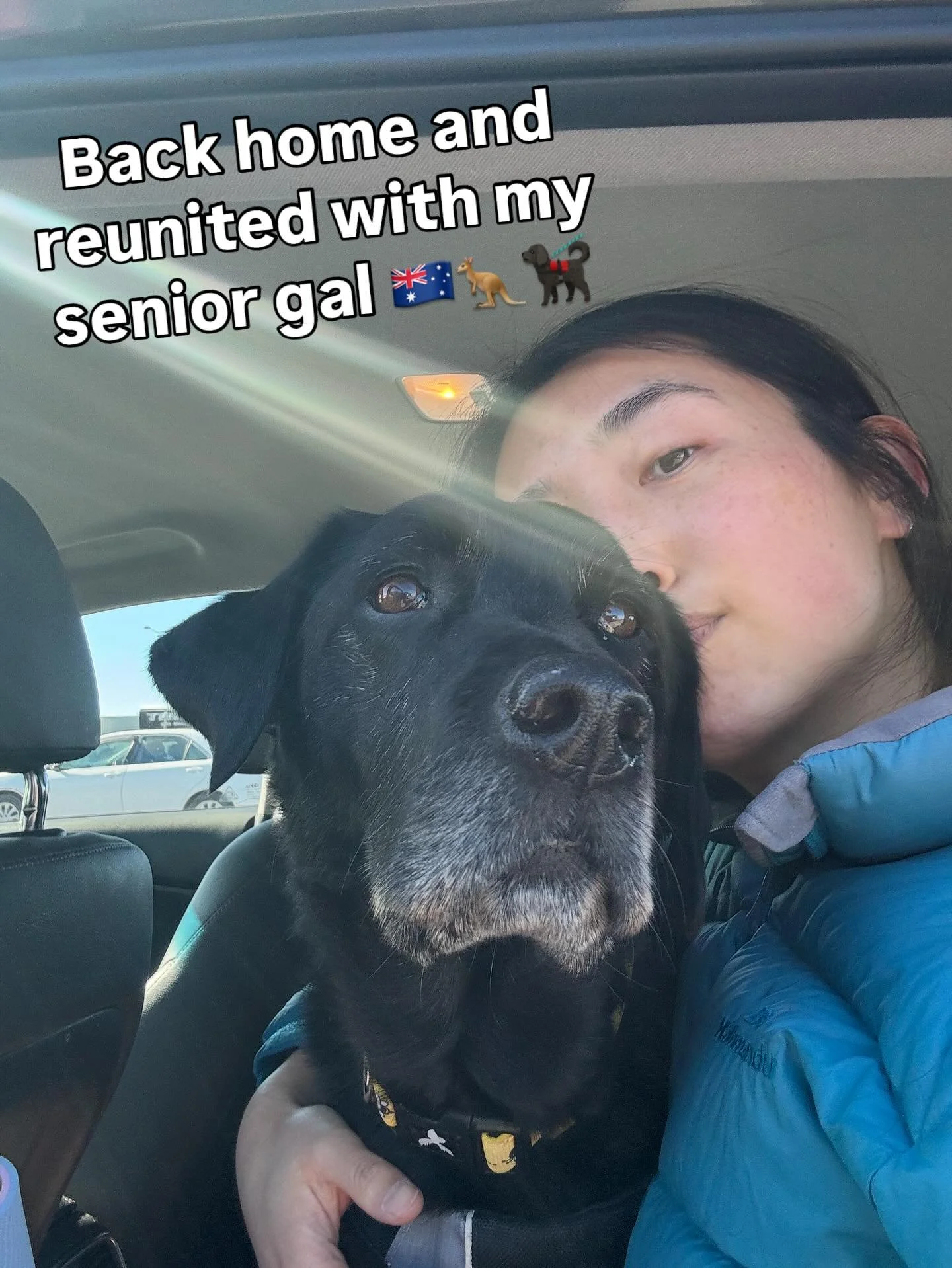 Can&rsquo;t believe how quickly my trip in SF came and went but there&rsquo;s nothing like returning home to my pup!!

.
.
.
#labrador #retriever #dogmum #seniordogsrule #blacklab #reunited #home