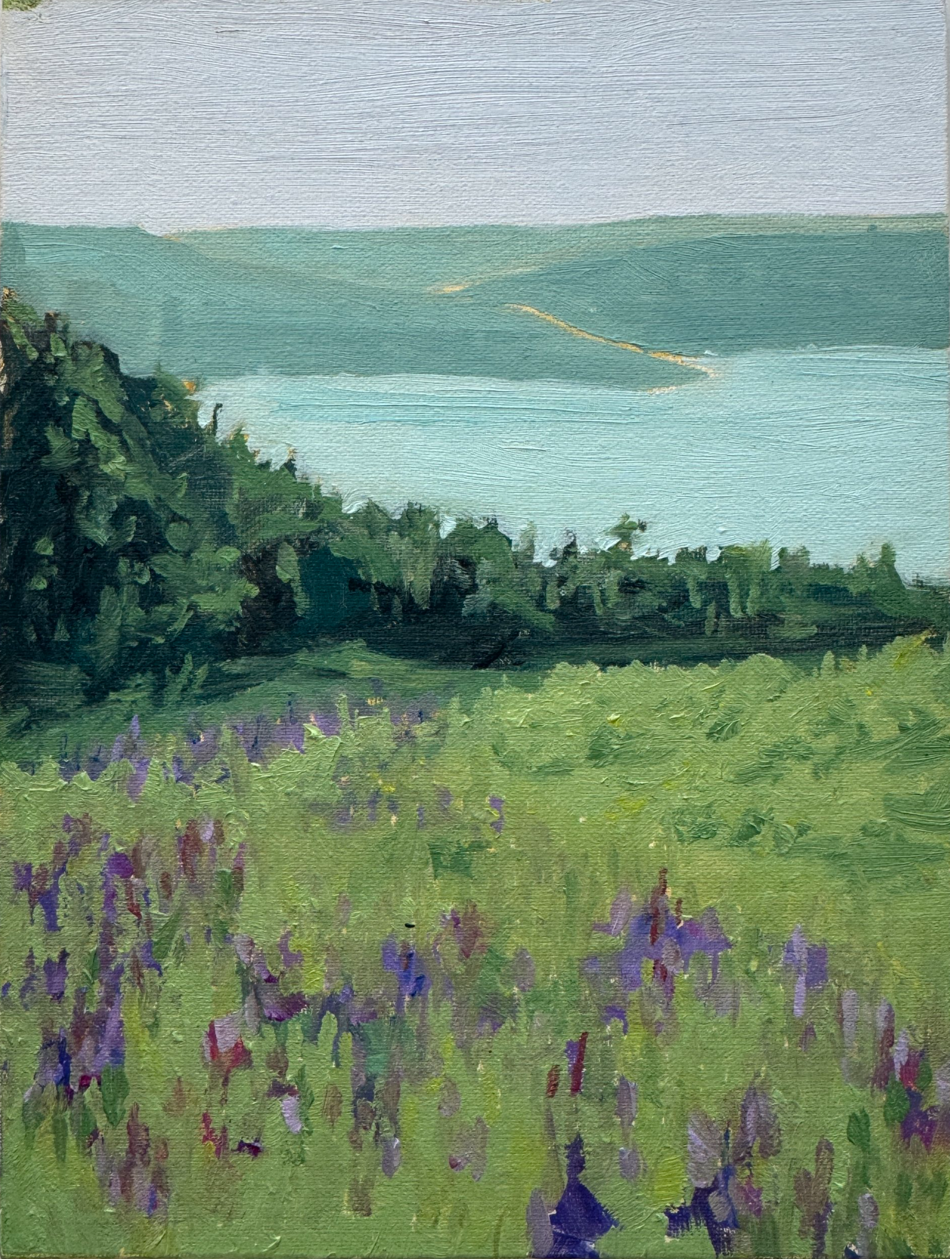 Lupine Meadow, Oil on Linen Panel, 2025 8x6 (sold)
