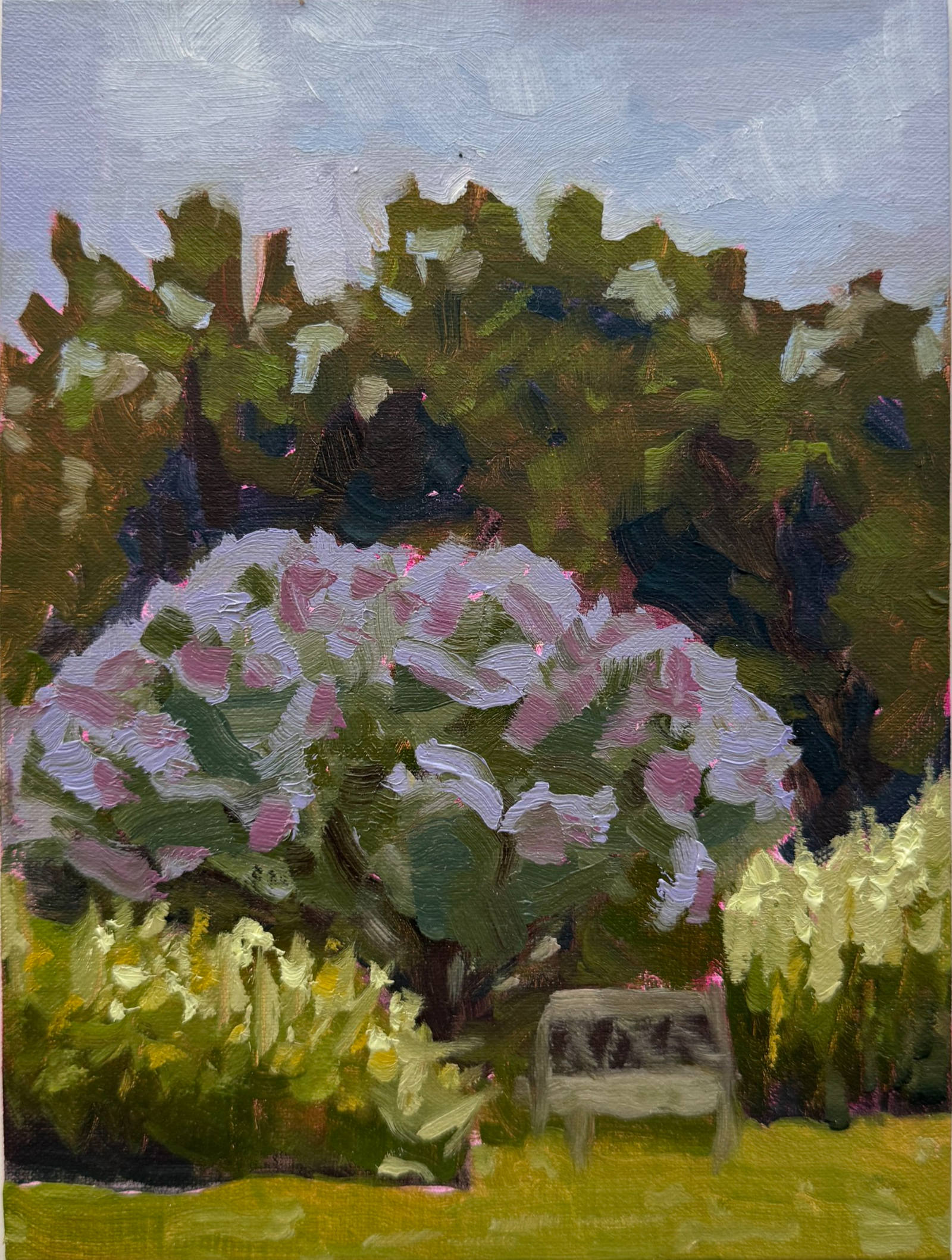 Purple Summer, Oil on Linen Panel, 2025 8x6