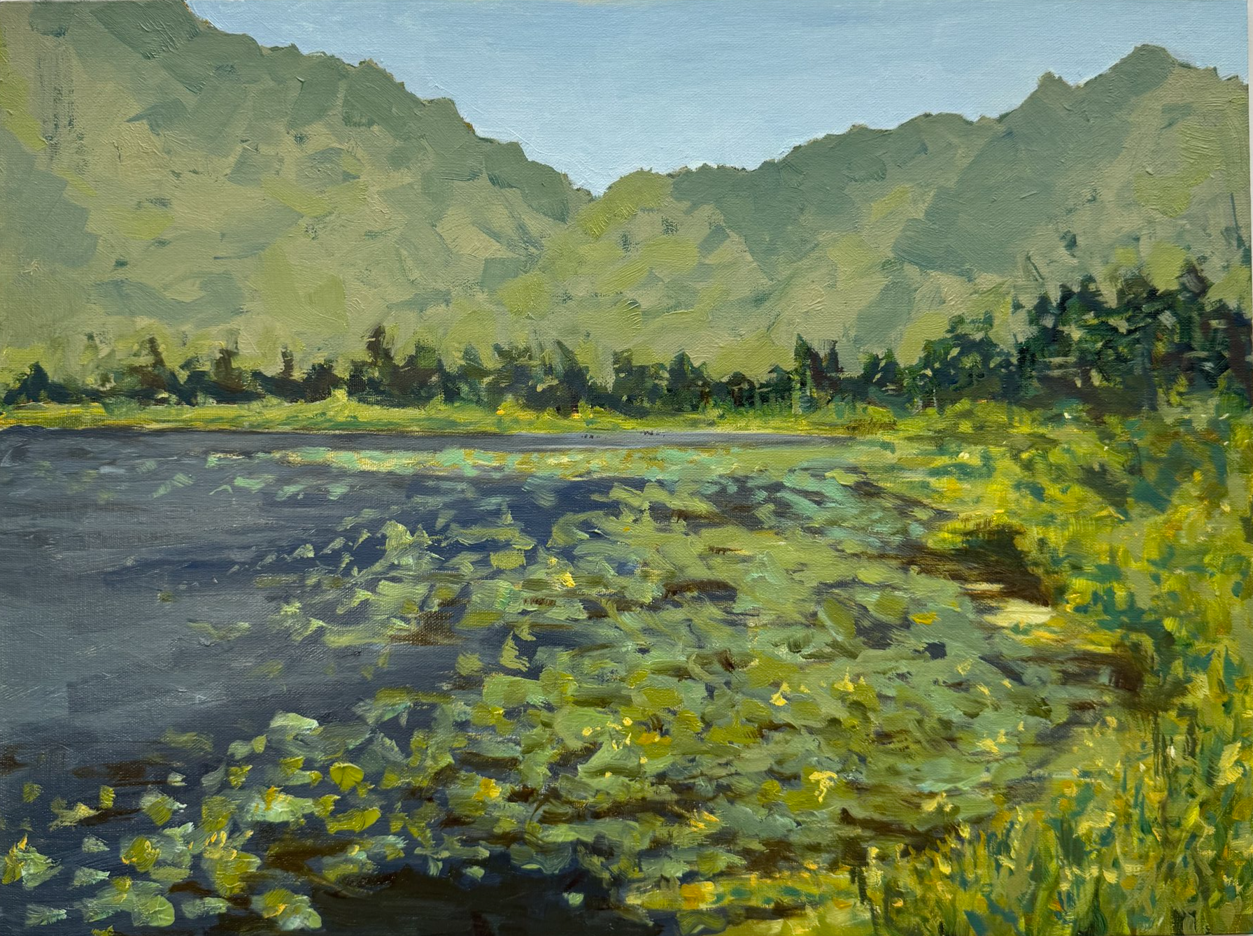 Beaver Dam Pond, Acadia, Oil on Linen Panel, 2025 11x14